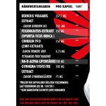 BigZoneInvictusG_D_A90CapsBerberinZimtundGymnemaBlutzuckersupportNW
