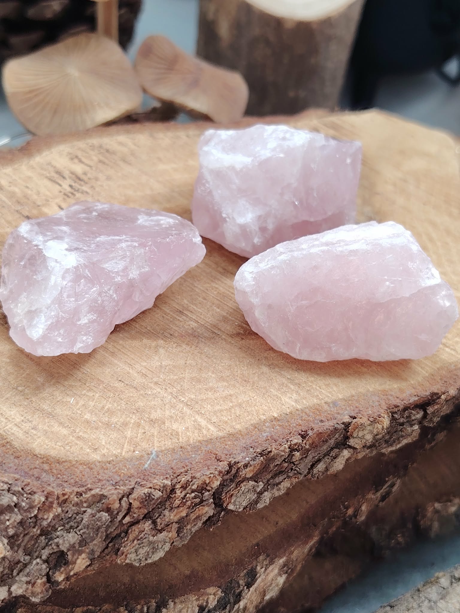 Trois quartz rose bruts posés sur tranche de bois avec galets beiges en arrière-plan, pierres naturelles associées à la douceur relationnelle, à la sérénité et à l’harmonie émotionnelle.