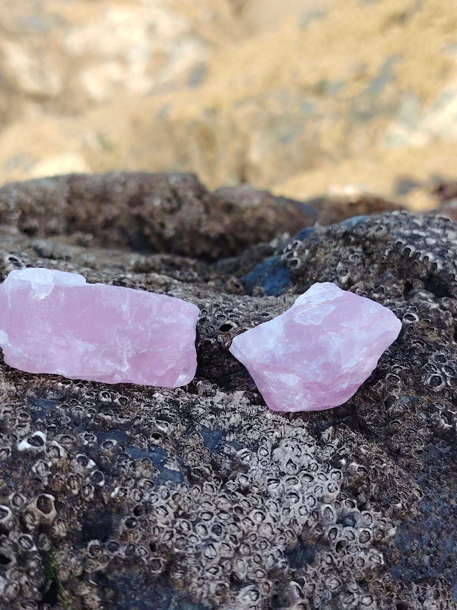 Deux quartz rose bruts posés sur rocher sombre en Bretagne avec falaises beiges floues en arrière-plan, pierres naturelles reliées à la tendresse, au calme du cœur et à l’apaisement intérieur.
