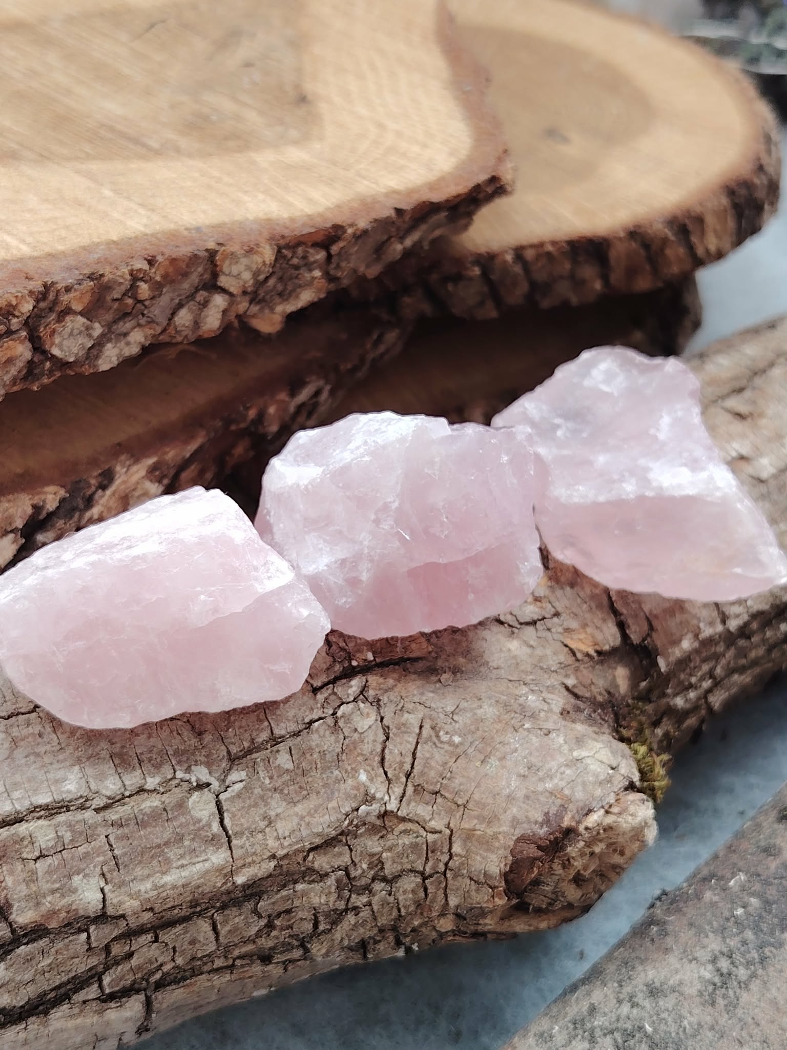 Trois quartz rose bruts posés sur tranche de bois et rocher, lumière douce naturelle et décor bohème, pierres naturelles liées à la bienveillance, à la douceur affective et à l’équilibre intérieur.