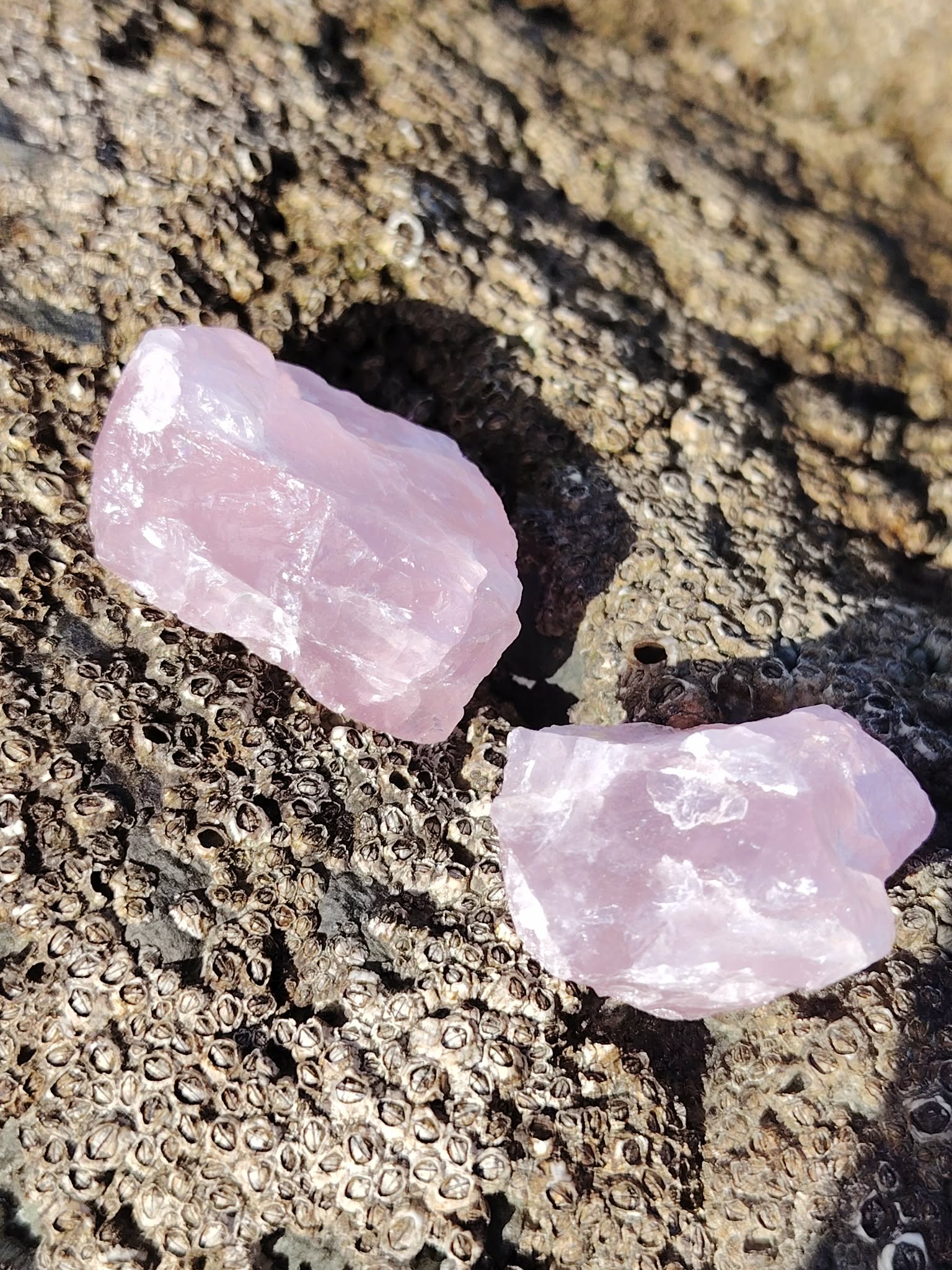 Deux quartz rose bruts posés sur rocher granitique texturé en lumière naturelle douce, pierres naturelles évoquant la sensibilité apaisée, la consolation et la sérénité intérieure.