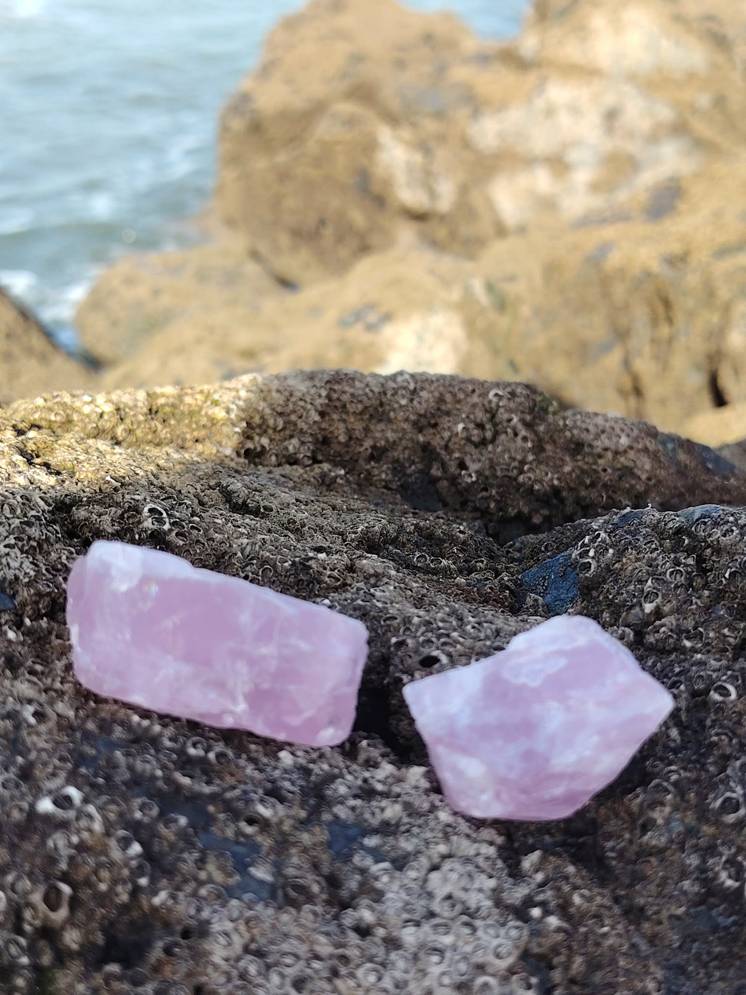 Deux quartz rose bruts posés sur rocher sombre en bord de mer en Bretagne, pierres naturelles évoquant l’amour de soi, la douceur émotionnelle et le calme intérieur.