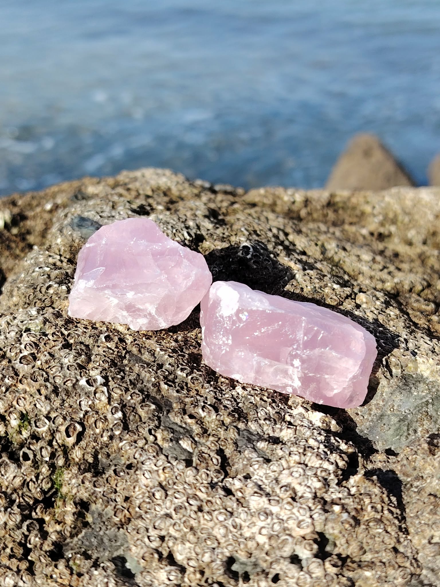 Quartz rose brut sur rocher breton au bord de l’eau, teintes rose pâle naturelles et ambiance marine, pierre naturelle associée à l’écoute de soi, au réconfort et à la paix du cœur.
