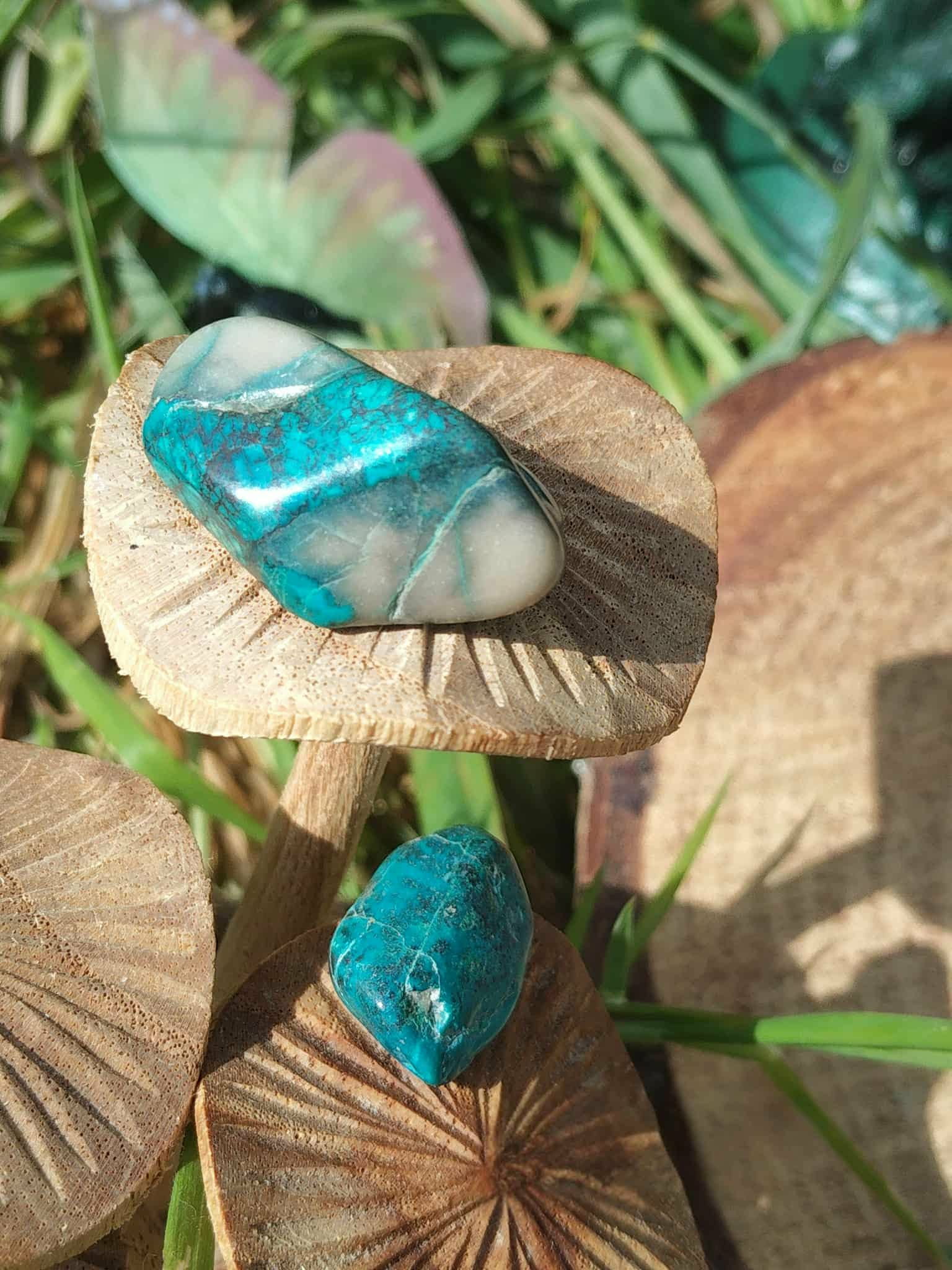 Galet de chrysocolle bleu-vert posé sur champignons en bois avec feuillage en décor forêt, pierre roulée liée à la tranquillité, à l’authenticité et à la douceur émotionnelle.