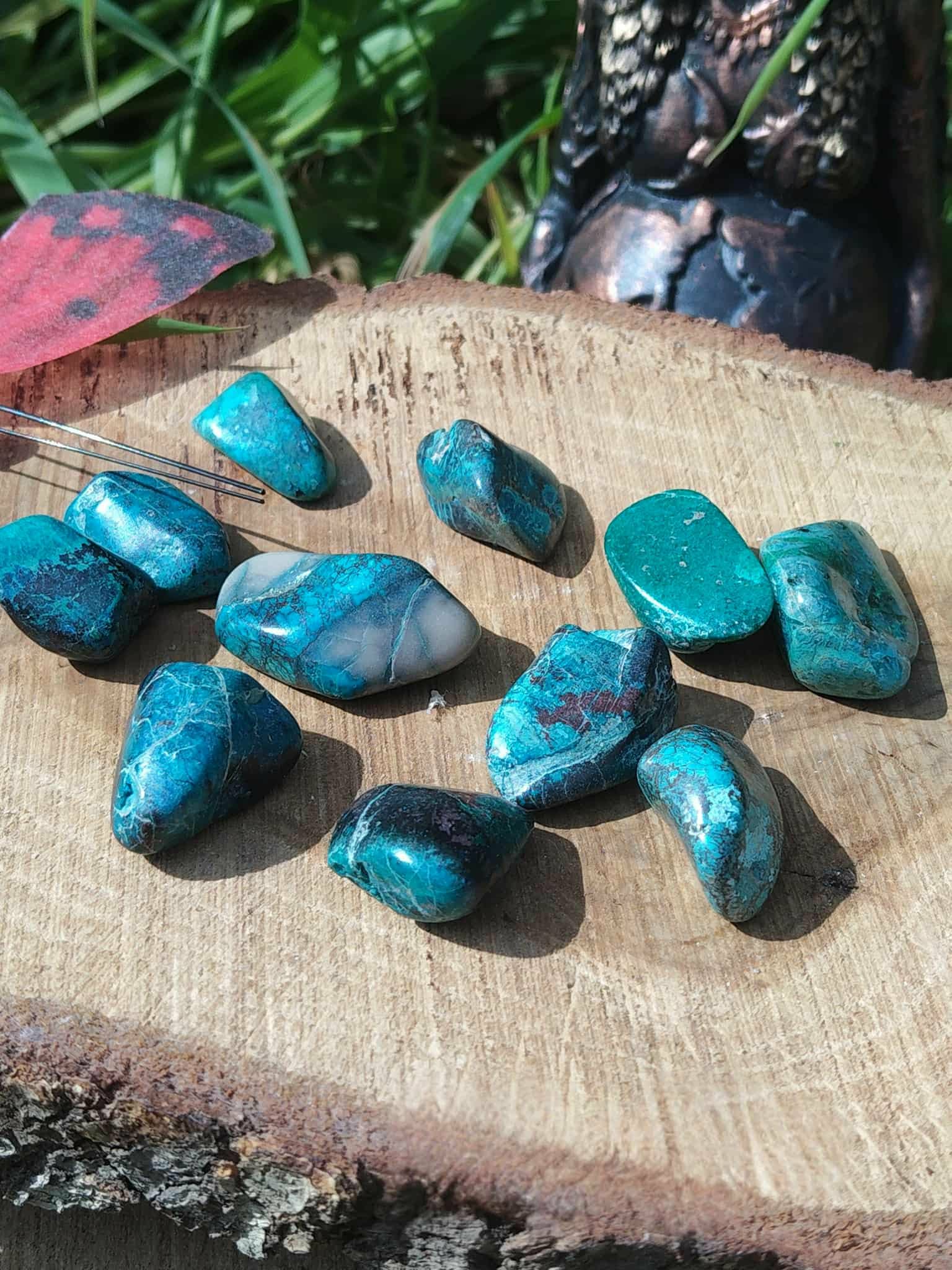 Galets de chrysocolle bleu-vert disposés sur tranche de bois avec végétation en arrière-plan, pierres roulées évoquant la confiance tranquille, la respiration émotionnelle et l’harmonie.