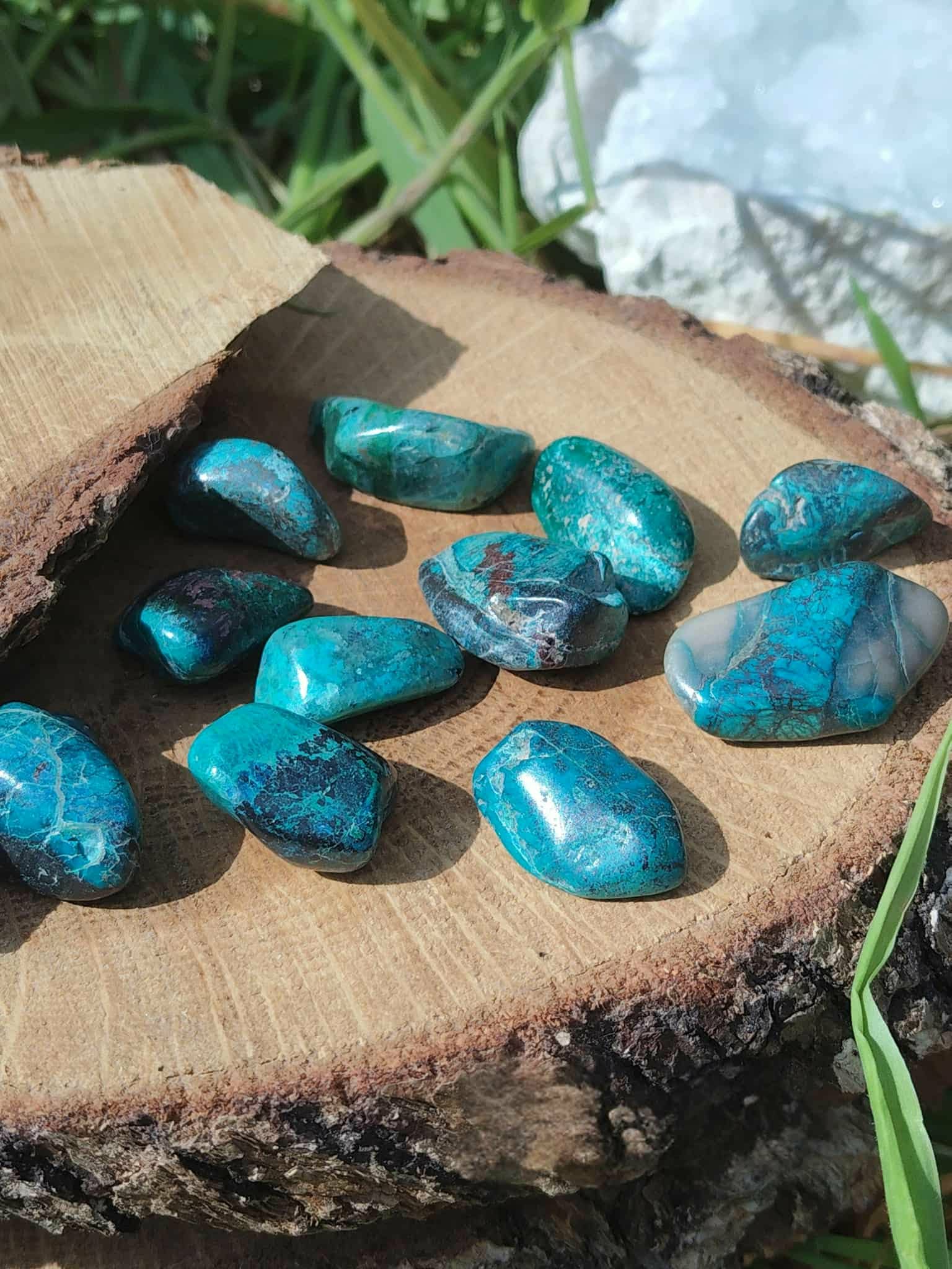 Galets de chrysocolle bleu-vert posés sur tranche de bois avec plantes vertes en lumière naturelle, pierres roulées associées à la douceur, au calme du cœur et à l’équilibre intérieur.