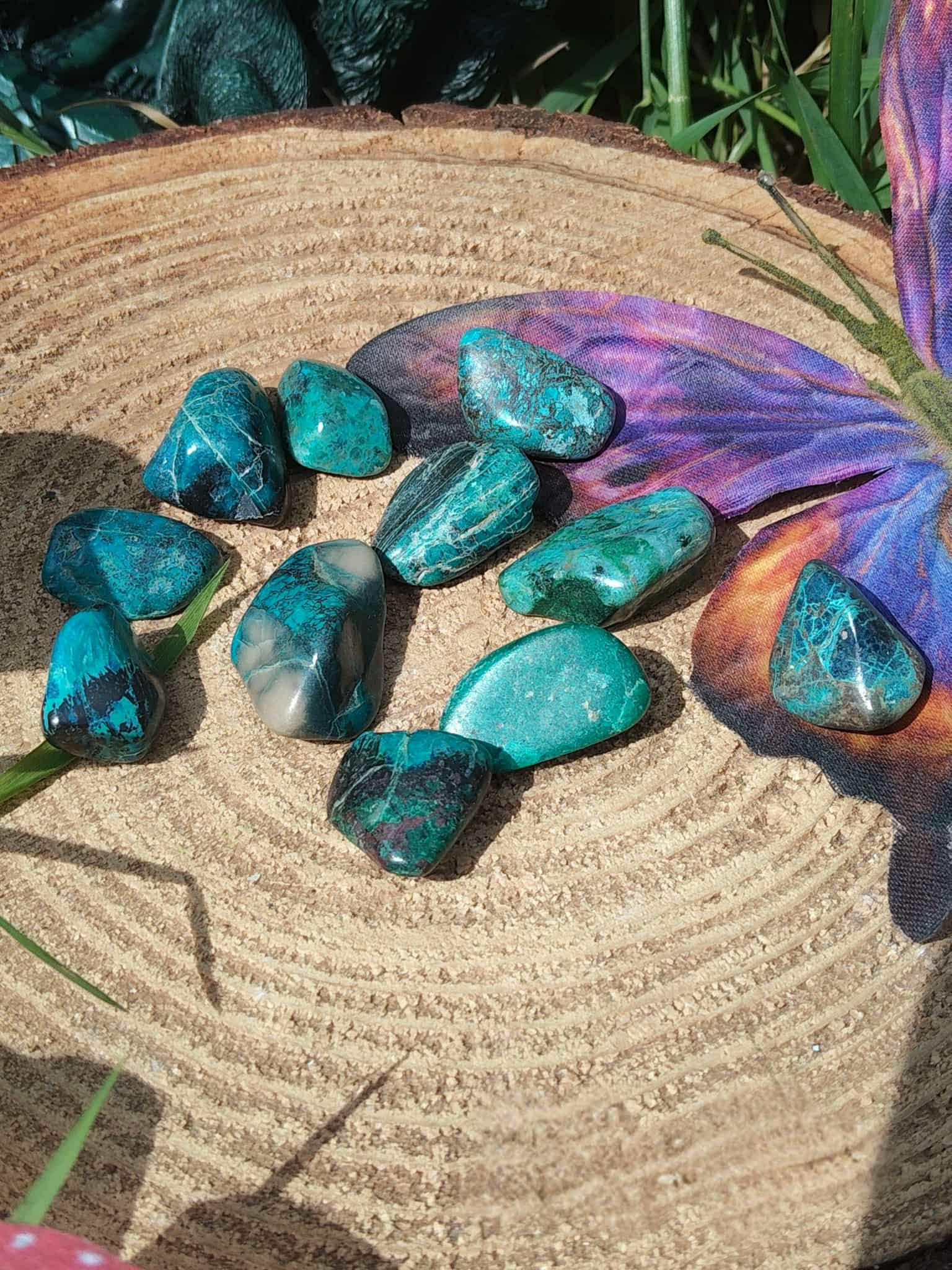 Galets de chrysocolle bleu-vert sur tranche de bois avec plume violette et feuillage, pierres roulées associées à l’intuition douce, à la sensibilité apaisée et à la parole fluide.