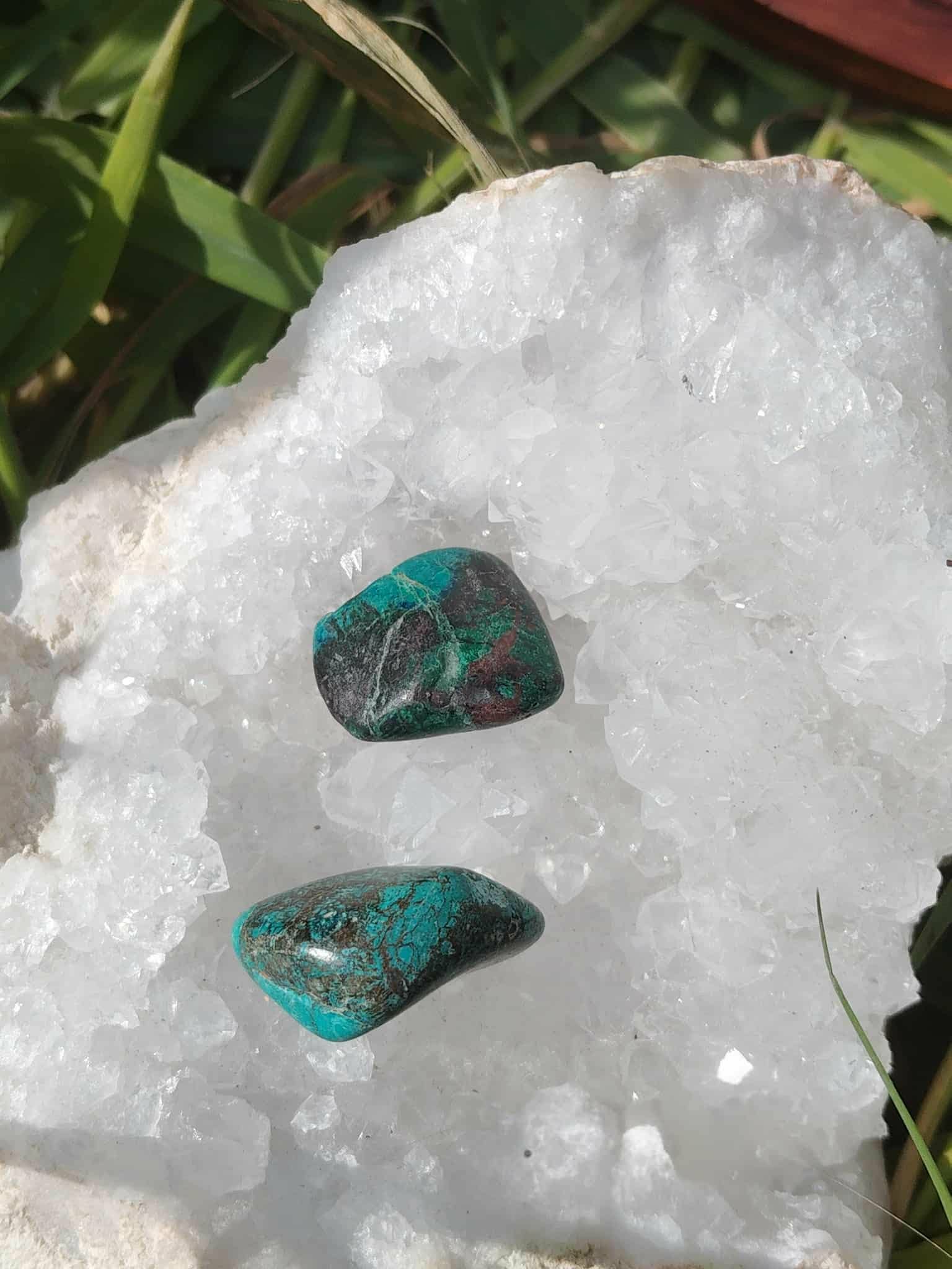 Chrysocolle pierre roulée, deux galets bleu-vert posés sur amas de quartz blanc avec feuillage en arrière-plan, contraste lumineux, pour apaisement, clarté et communication.