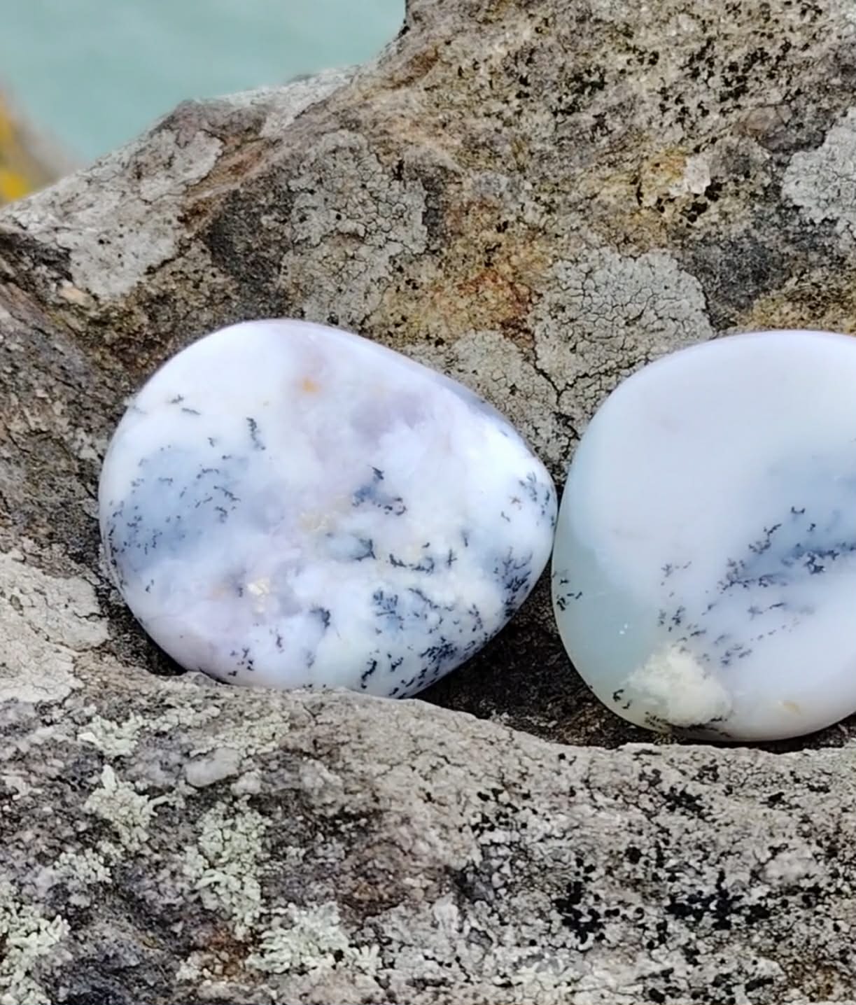 Deux galets de calcédoine dendritique posés sur un rocher face à la mer en Bretagne, teintes bleu-gris marbrées, pierres naturelles associées au recentrage, à la paix intérieure et à la finesse d’esprit.