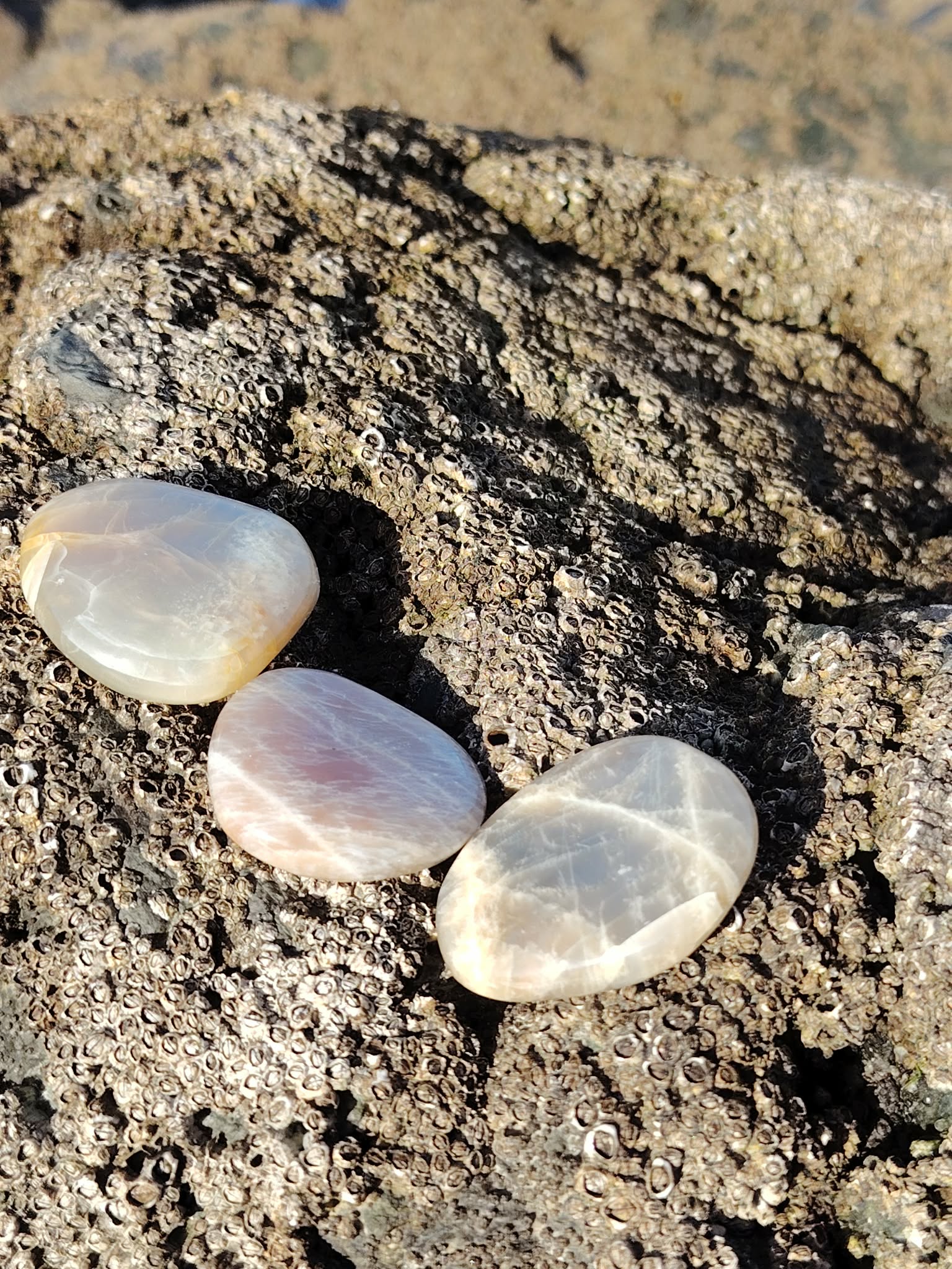 Trois galets de pierre de lune aux reflets nacrés posés sur un rocher texturé en lumière naturelle, pierres naturelles associées à la sérénité, à la présence à soi et à la douceur émotionnelle.