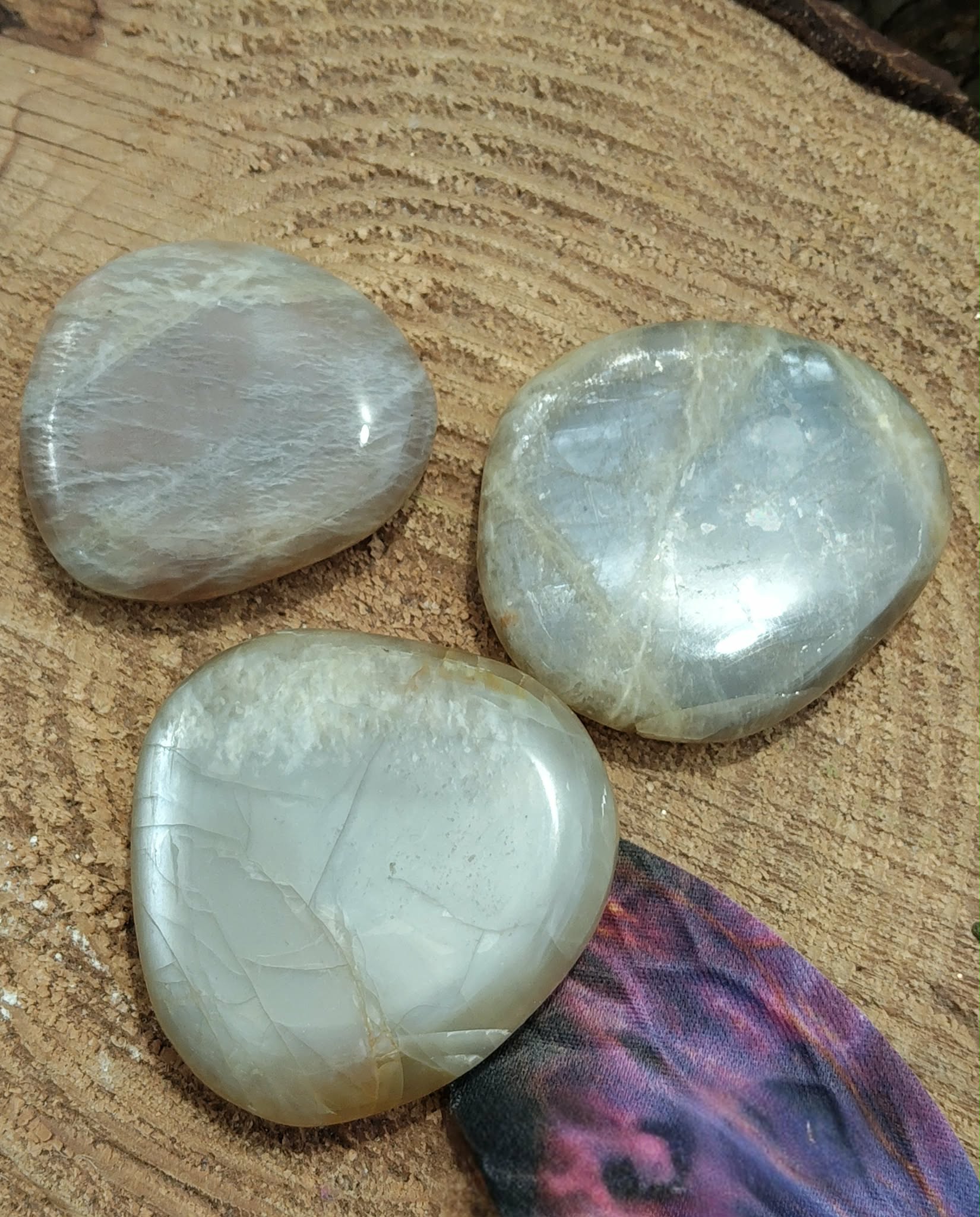 Trois galets de pierre de lune gris nacré posés sur une tranche de bois, reflets doux et naturels, pierres naturelles associées à la paix intérieure, au calme émotionnel et à la sensibilité.