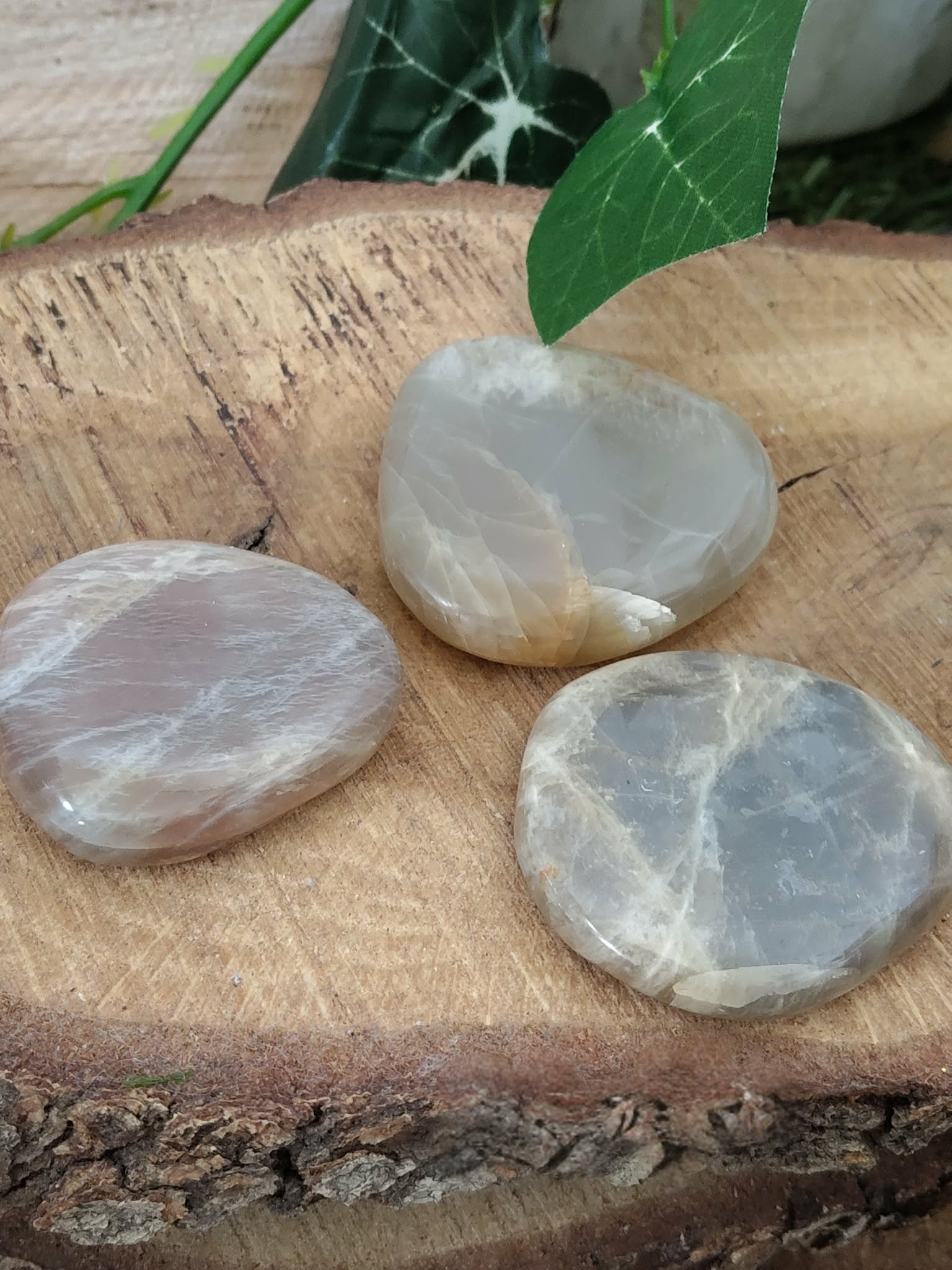 Trois galets de pierre de lune gris nacré posés sur une tranche de bois avec une feuille verte, décor naturel, pierres naturelles liées à la tendresse, au recentrage et à l’équilibre du cœur.