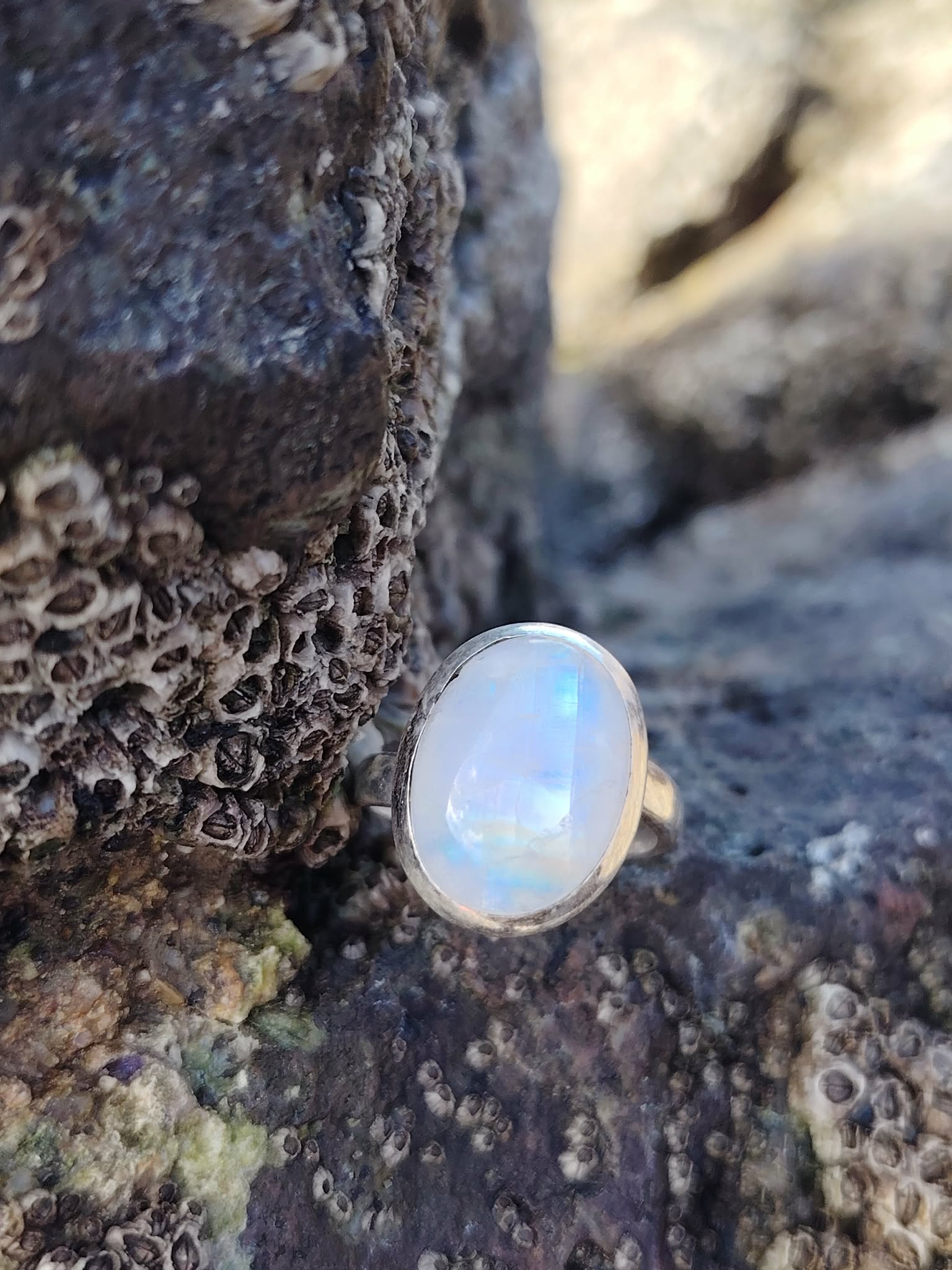 Bague réglable en argent 925 sertie d’une péristérite (pierre de lune arc-en-ciel) ovale, posée sur roche sombre en bord de mer, reflets bleutés, intention douceur et intuition.