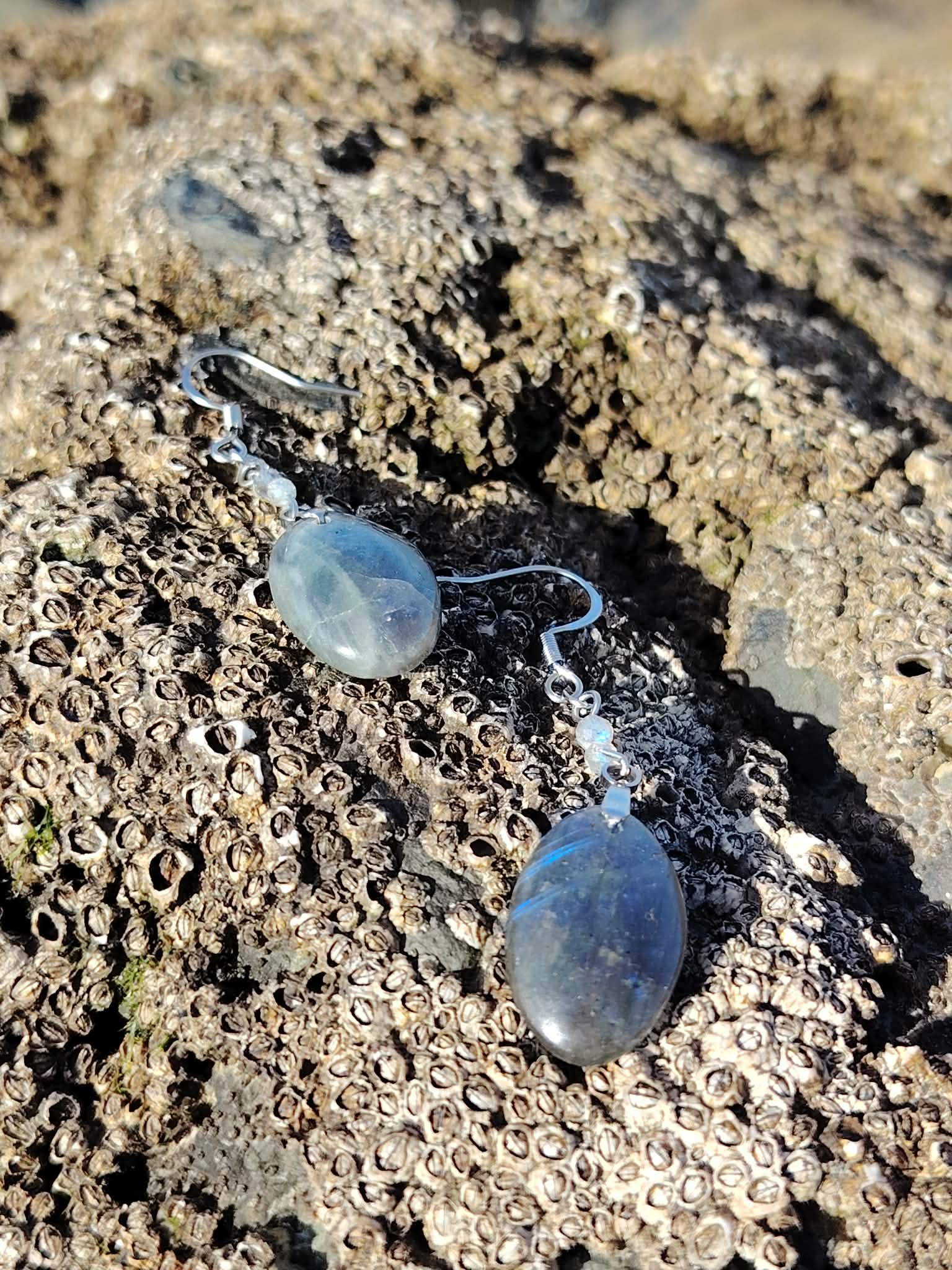 Boucles d’oreilles Labradorite création Magic Gaïa sur bois flotté et coquillages, lumière froide; intention: intuition, équilibre, douceur au quotidien