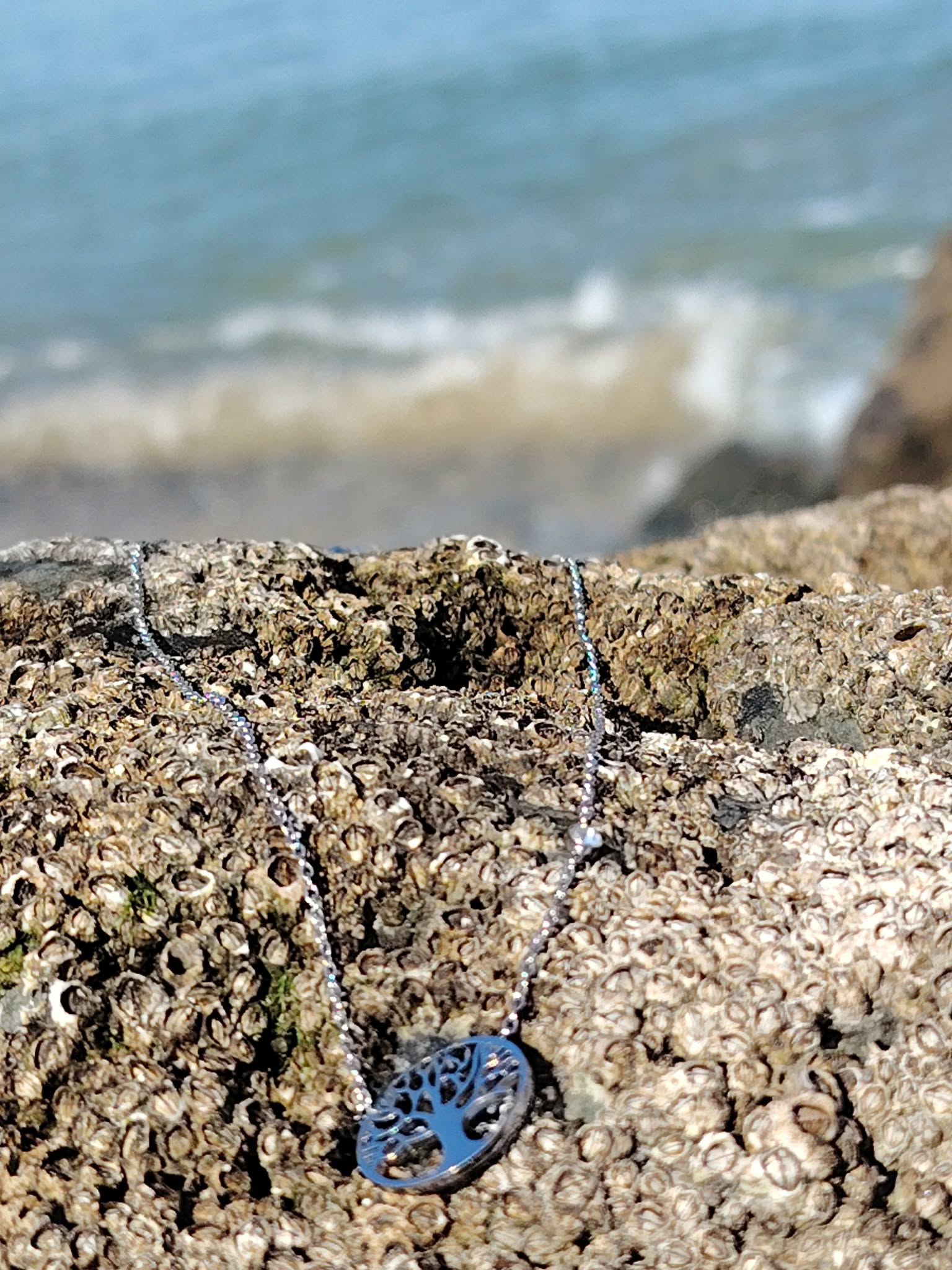 Collier argenté Arbre de Vie avec strass posé sur rochers de Bretagne face à la mer, ancrage doux et sérénité du cœur
