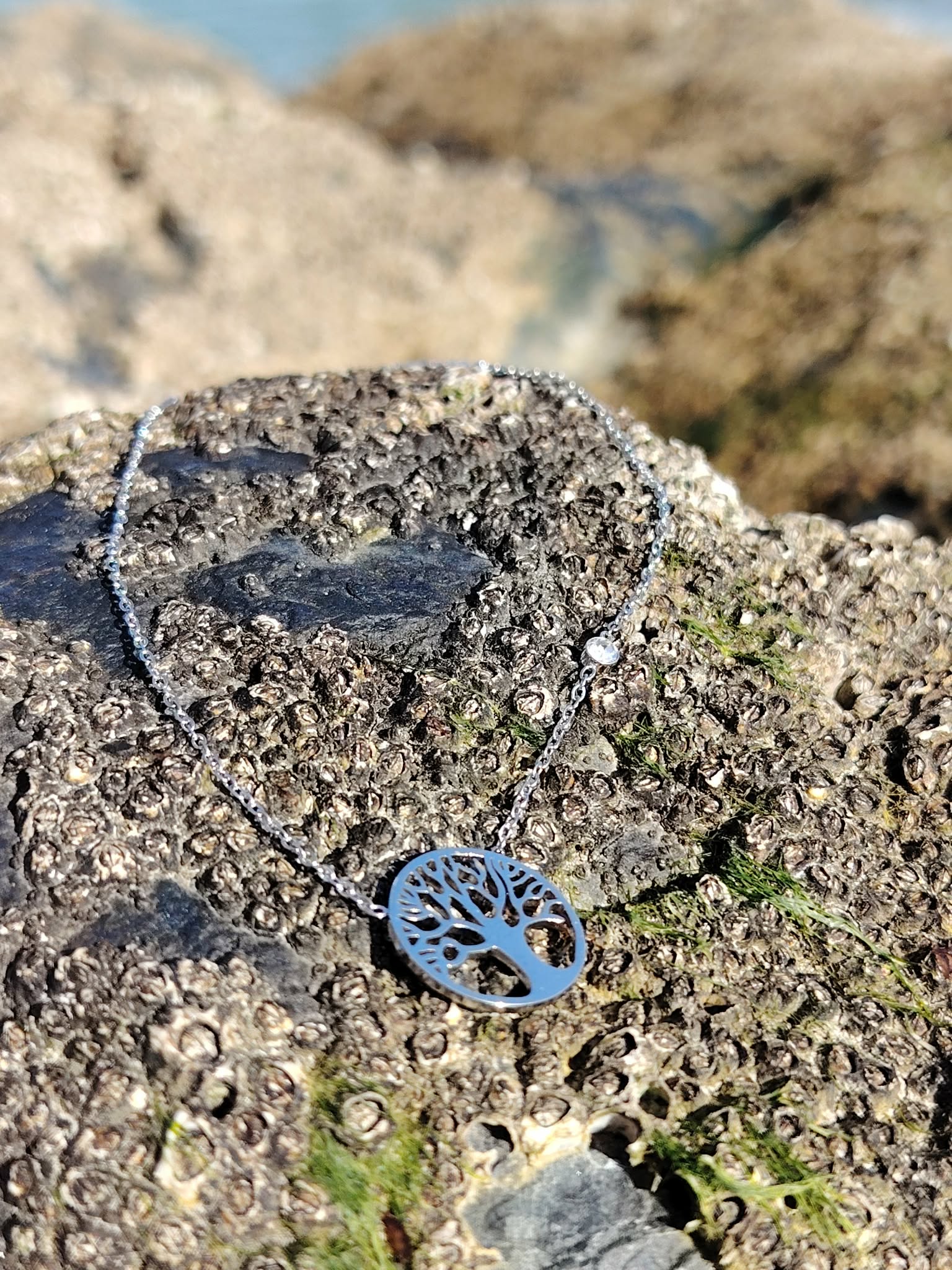 Pendentif Arbre de Vie argenté sur chaîne fine au soleil, rocher côtier couvert de balanes en Bretagne, équilibre et protection symbolique