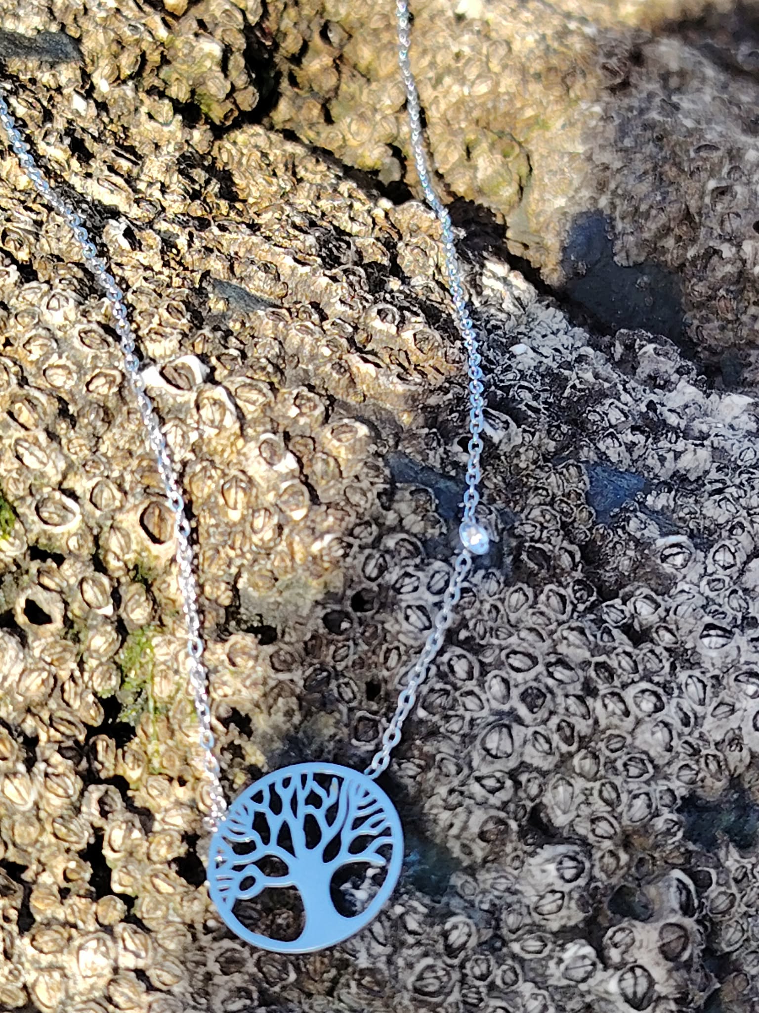 Collier argenté Arbre de Vie en acier inoxydable posé sur rocher marin couvert de balanes en Bretagne, stabilité intérieure et harmonie symbolique
