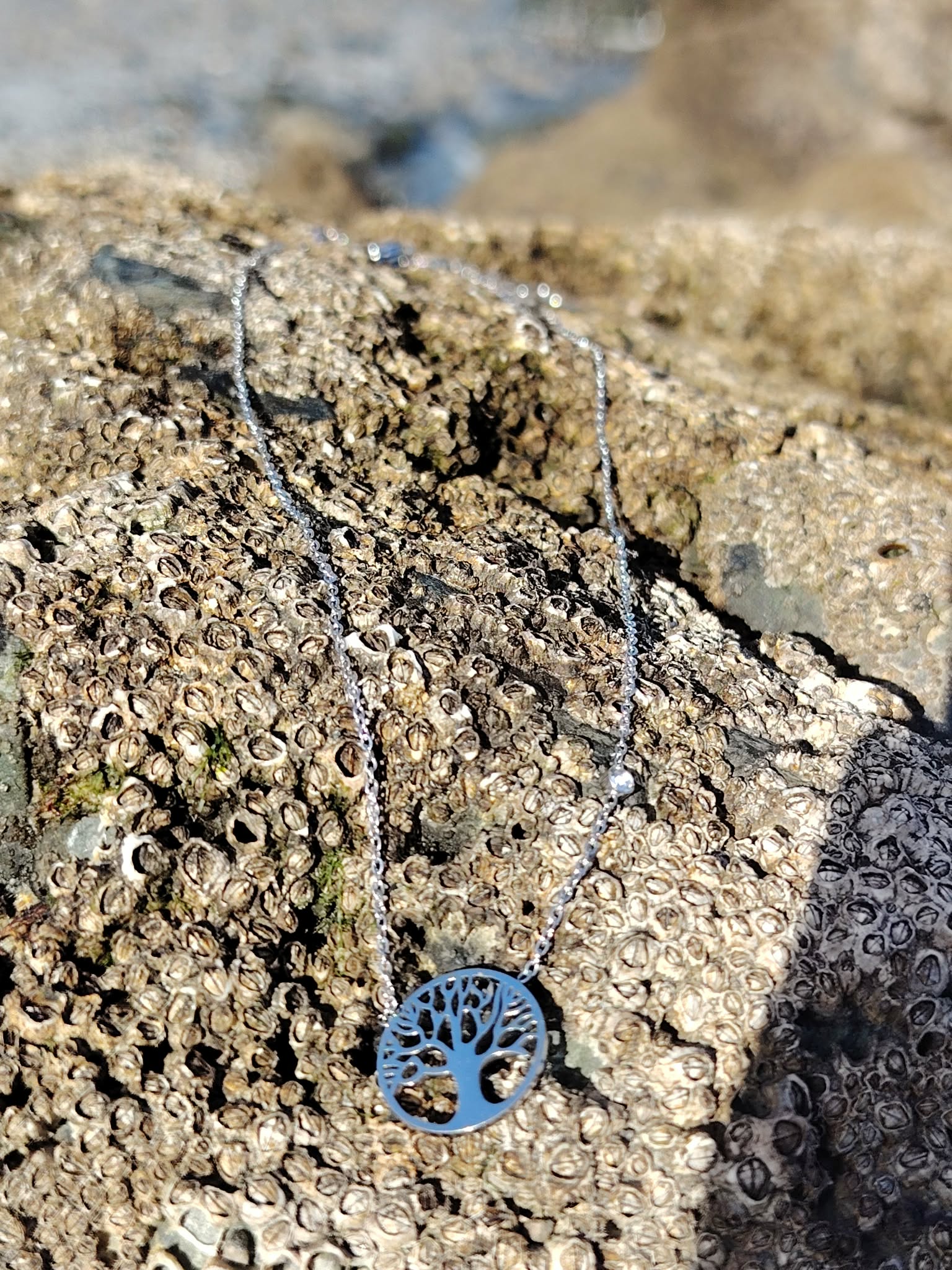 Pendentif Arbre de Vie argenté avec strass sur rochers à balanes en Bretagne, enracinement symbolique et paix intérieure