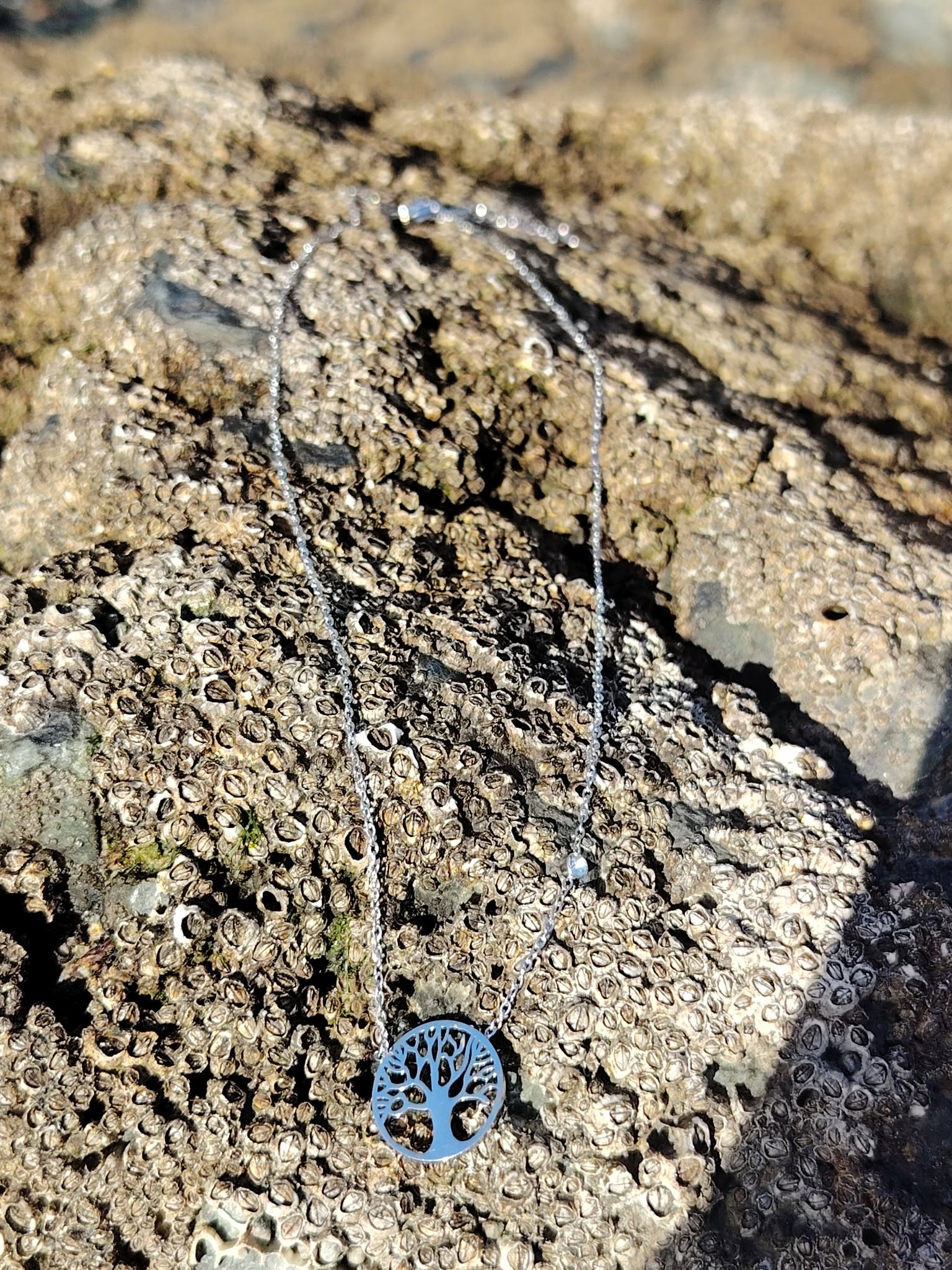 Collier Arbre de Vie argenté avec strass sur rochers granités près de l’océan, recentrage intérieur et calme apaisé