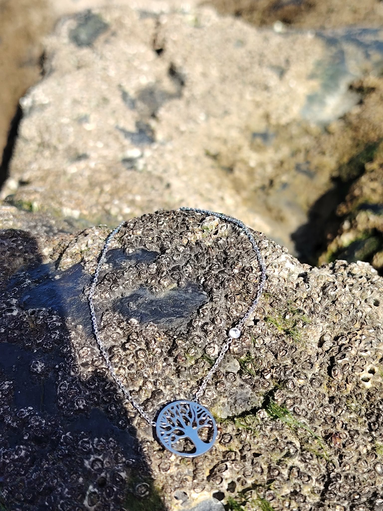 Chaîne argentée avec pendentif Arbre de Vie scintillant sur roche marine texturée, stabilité émotionnelle et confiance tranquille