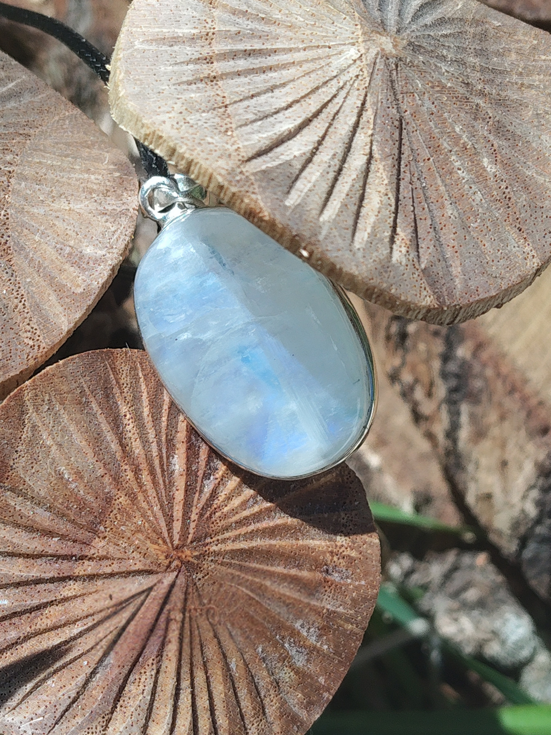 Pendentif goutte en labradorite blanche sertie argent 925 sur cordon noir, posé sur champignons en bois sculpté en extérieur, pierre naturelle évoquant la douceur, la rêverie et l’écoute de soi.