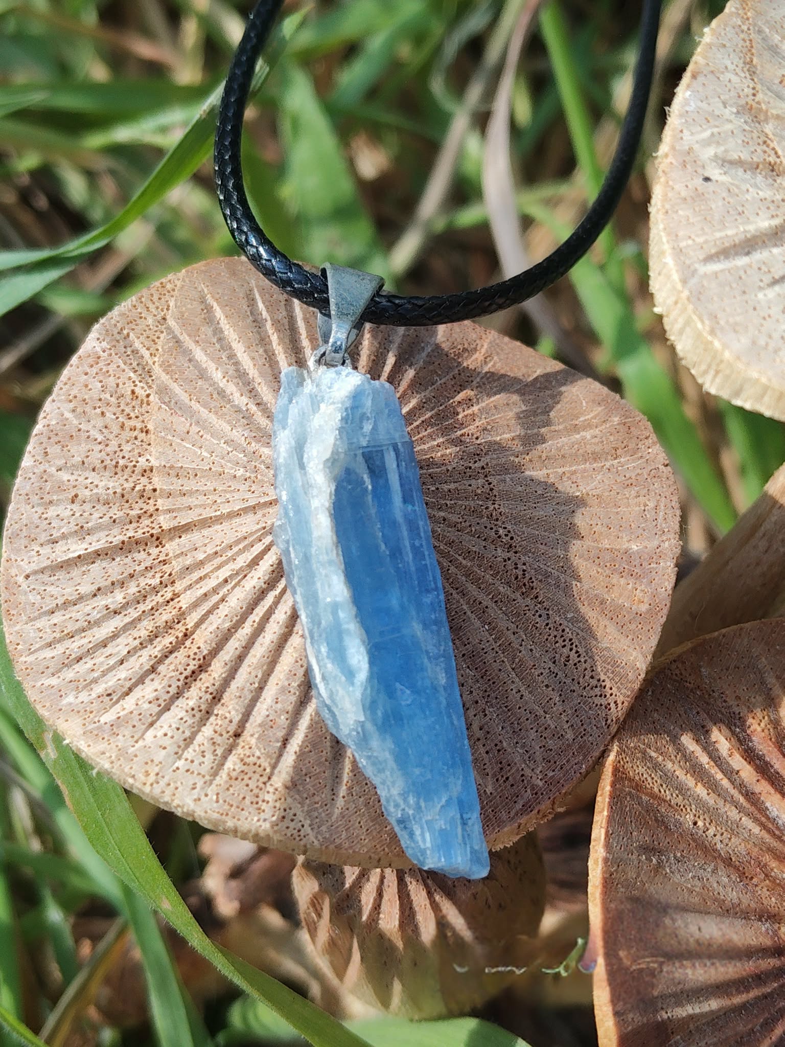 Pendentif cyanite bleue brute sur cordon noir, bélière argentée, sur champignons en bois et herbes; intention: clarté, apaisement.