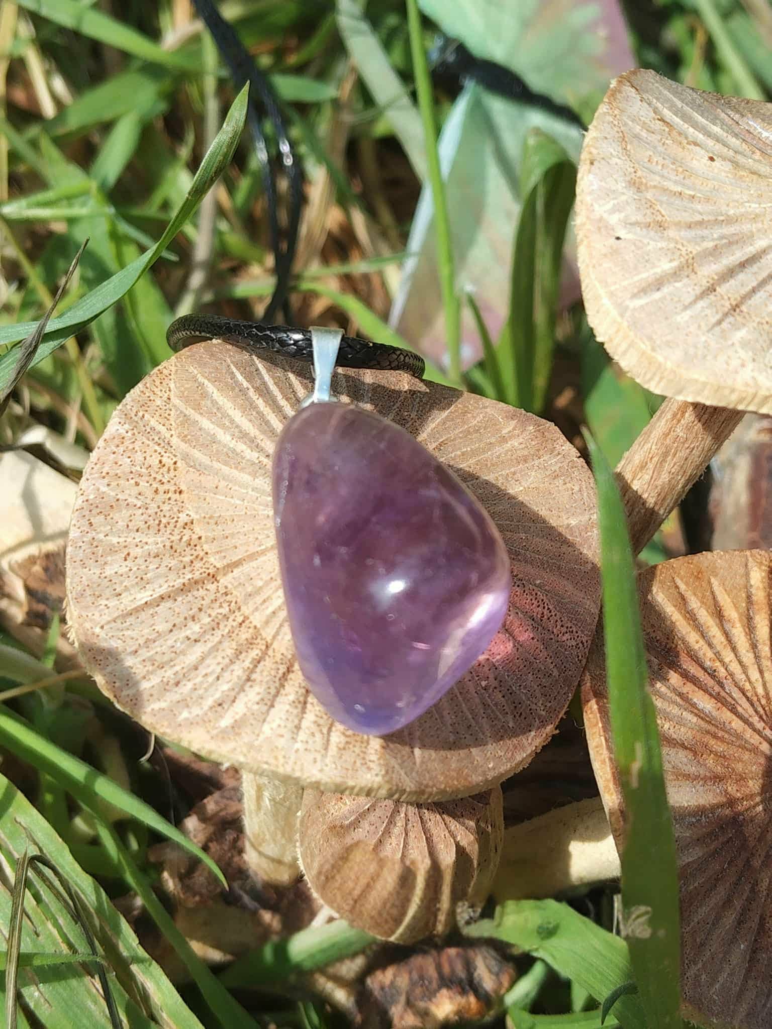 Pendentif en amétrine aux reflets violets suspendu parmi des champignons et feuillages, dans un décor naturel, pierre naturelle évoquant le calme du mental, le recul et l’harmonie intérieure.
