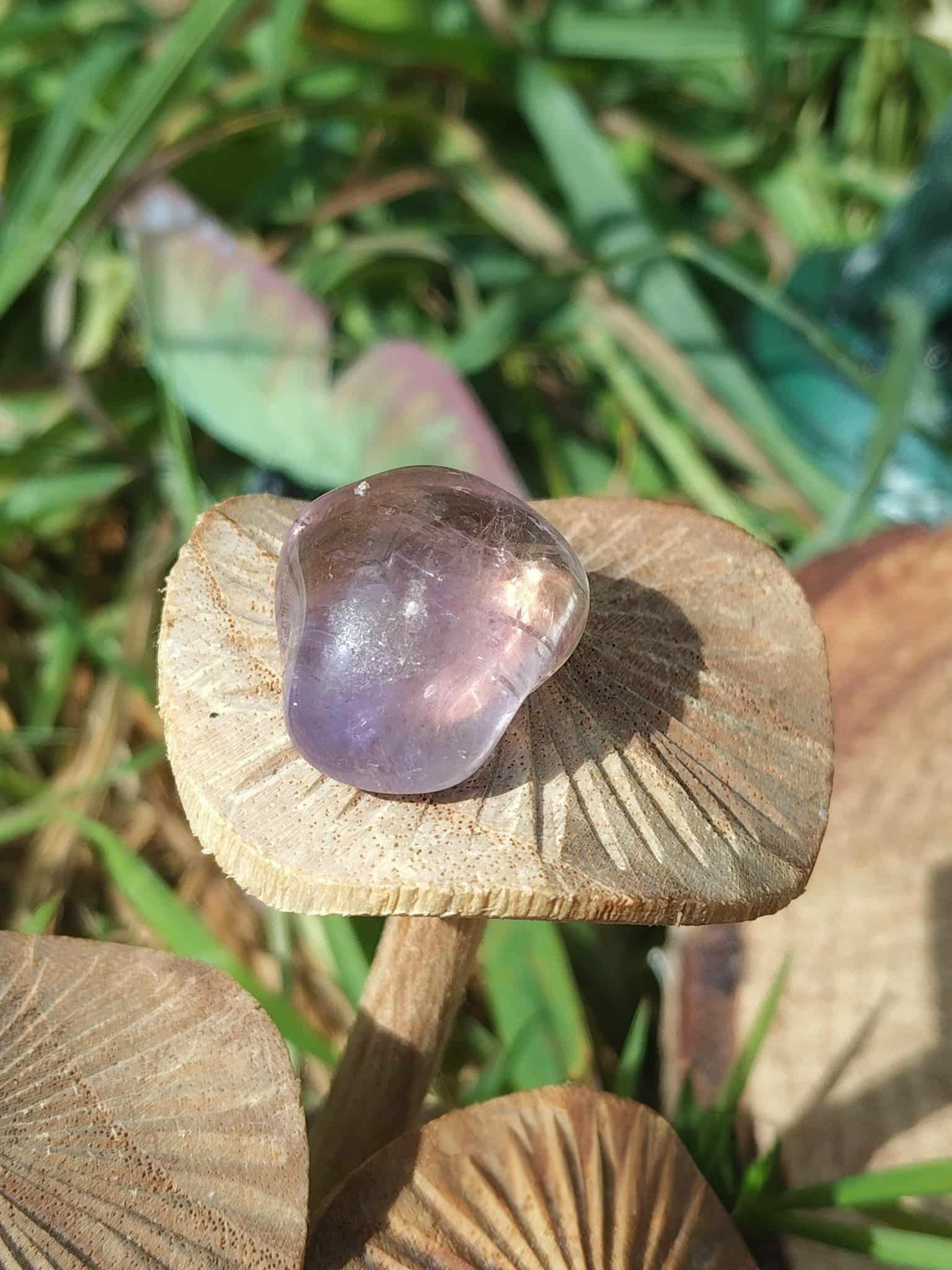Pierre roulée d’amétrine aux reflets violets posée sur un champignon, décor végétal en arrière-plan, pierre naturelle liée à la rêverie, à la souplesse émotionnelle et à l’équilibre.