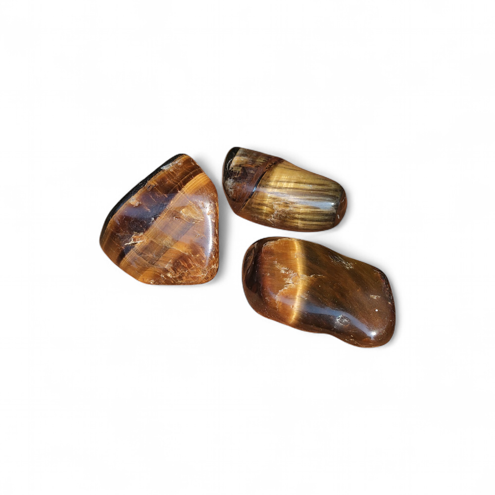 Trois pierres roulées œil de tigre aux nuances brunes et dorées sur fond blanc, pierres naturelles reliées au courage, à la lucidité et à l’ancrage profond.