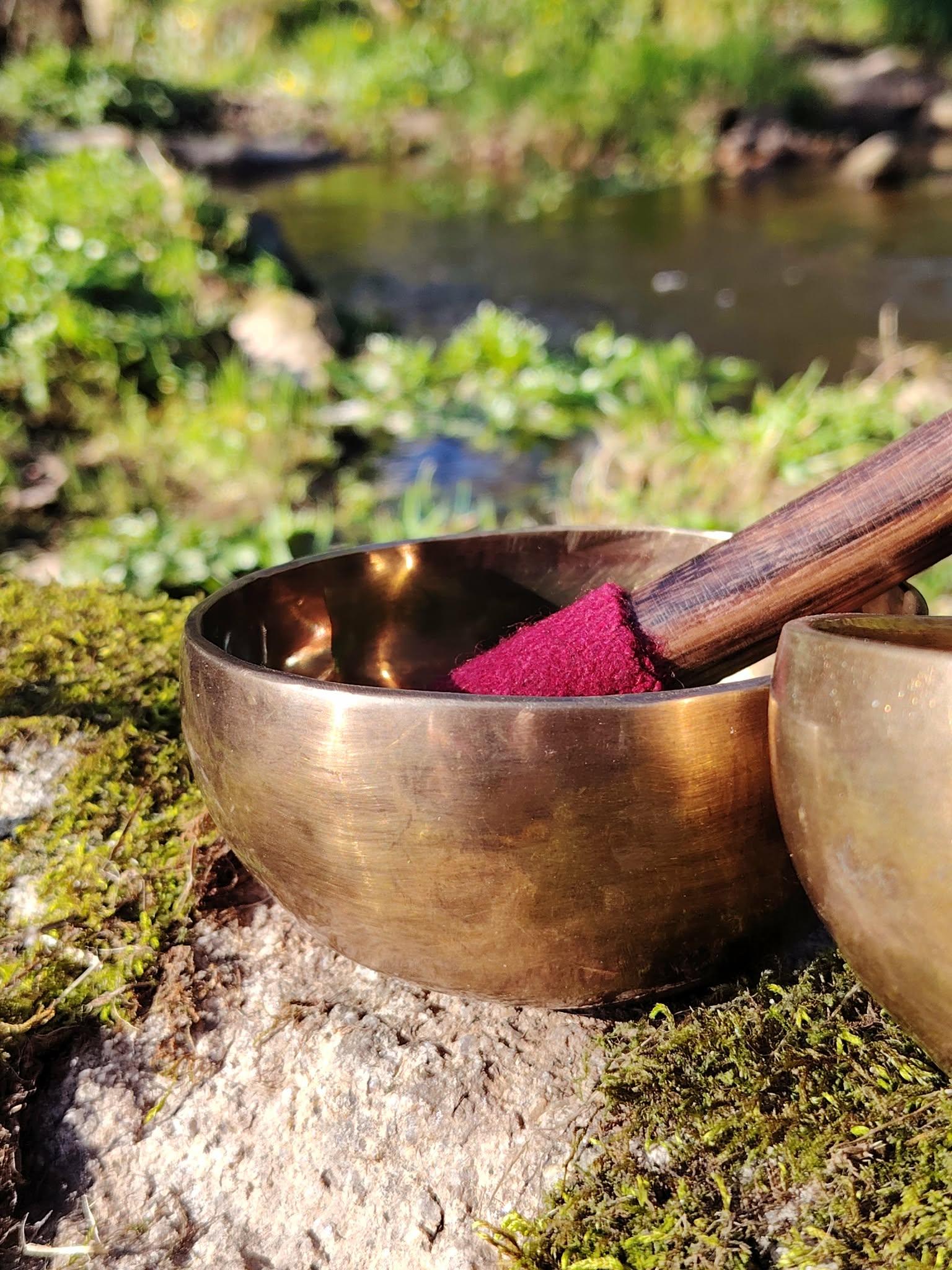 Bol tibétain doré sur rocher moussu en Bretagne, près d’un ruisseau, maillet au feutre rouge, pour inviter au calme, à l’ancrage et à la clarté.