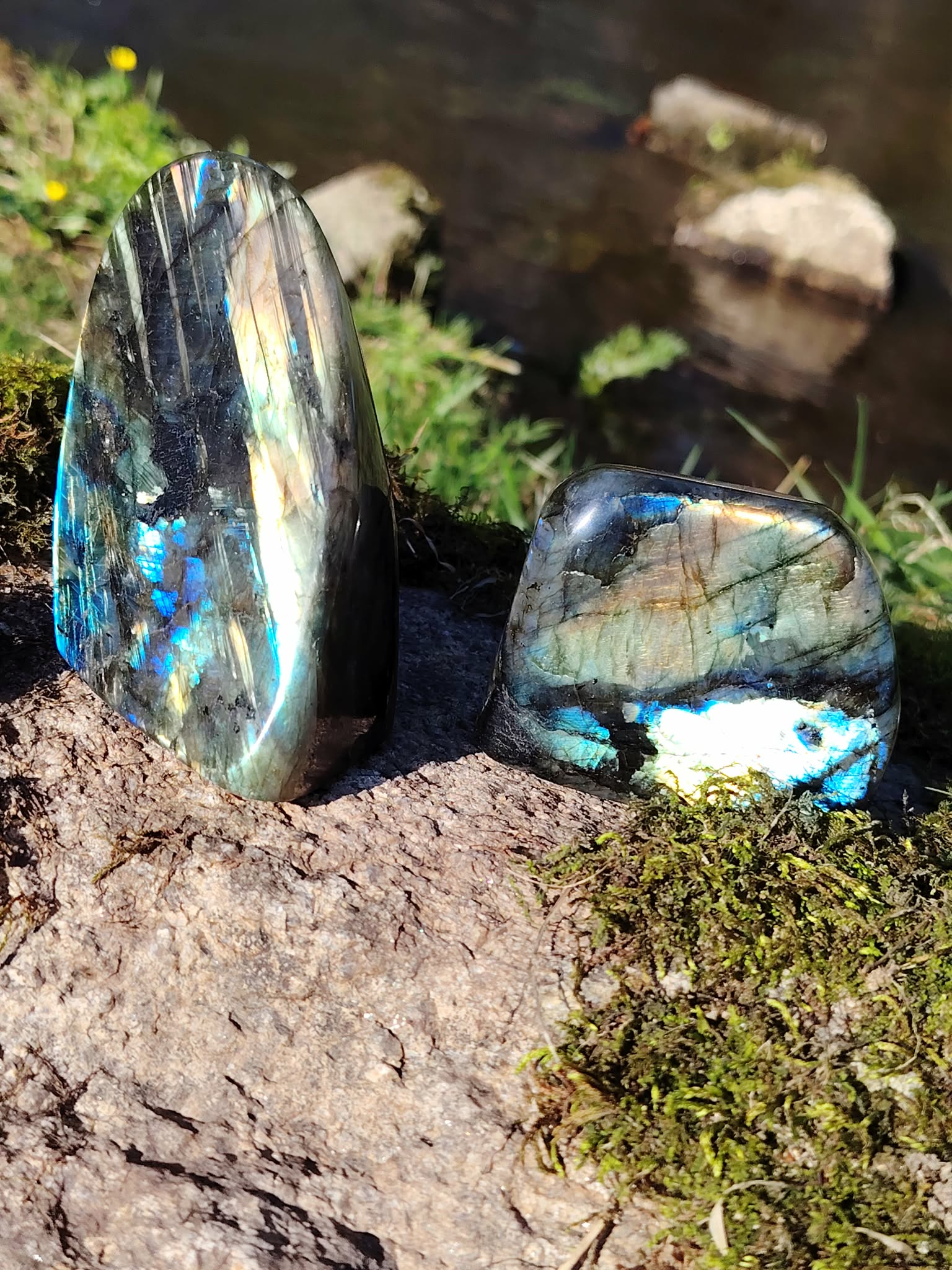 Deux labradorites forme libre aux reflets bleus posées sur rocher et mousse en Bretagne près d’un ruisseau, pierres naturelles évoquant le recentrage, la paix du mental et la sensibilité intuitive.
