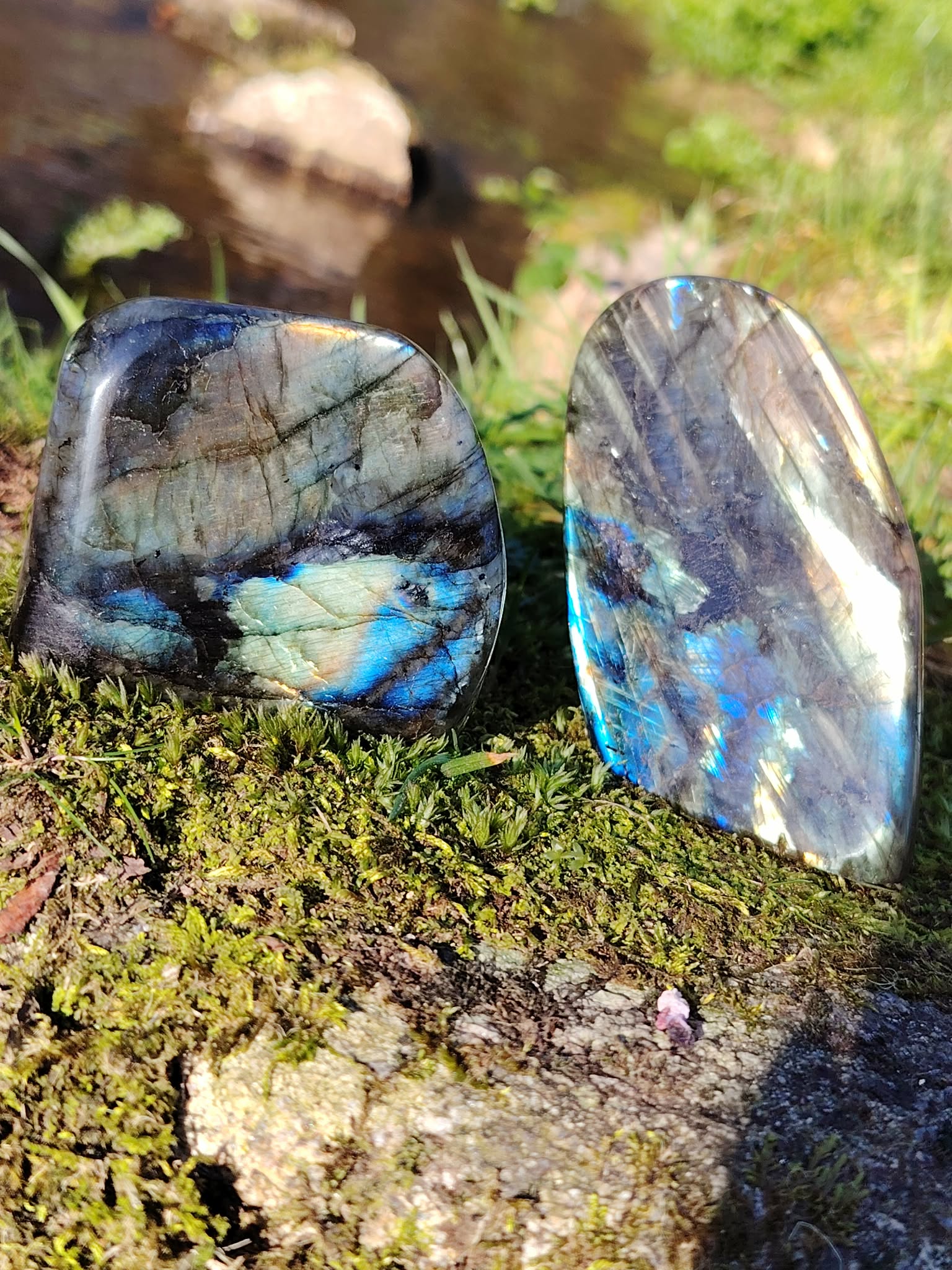 Deux labradorites forme libre aux reflets bleus posées sur mousse et rocher en Bretagne, près d’un ruisseau, pierres naturelles associées à la protection douce, au calme intérieur et à la profondeur intuitive.