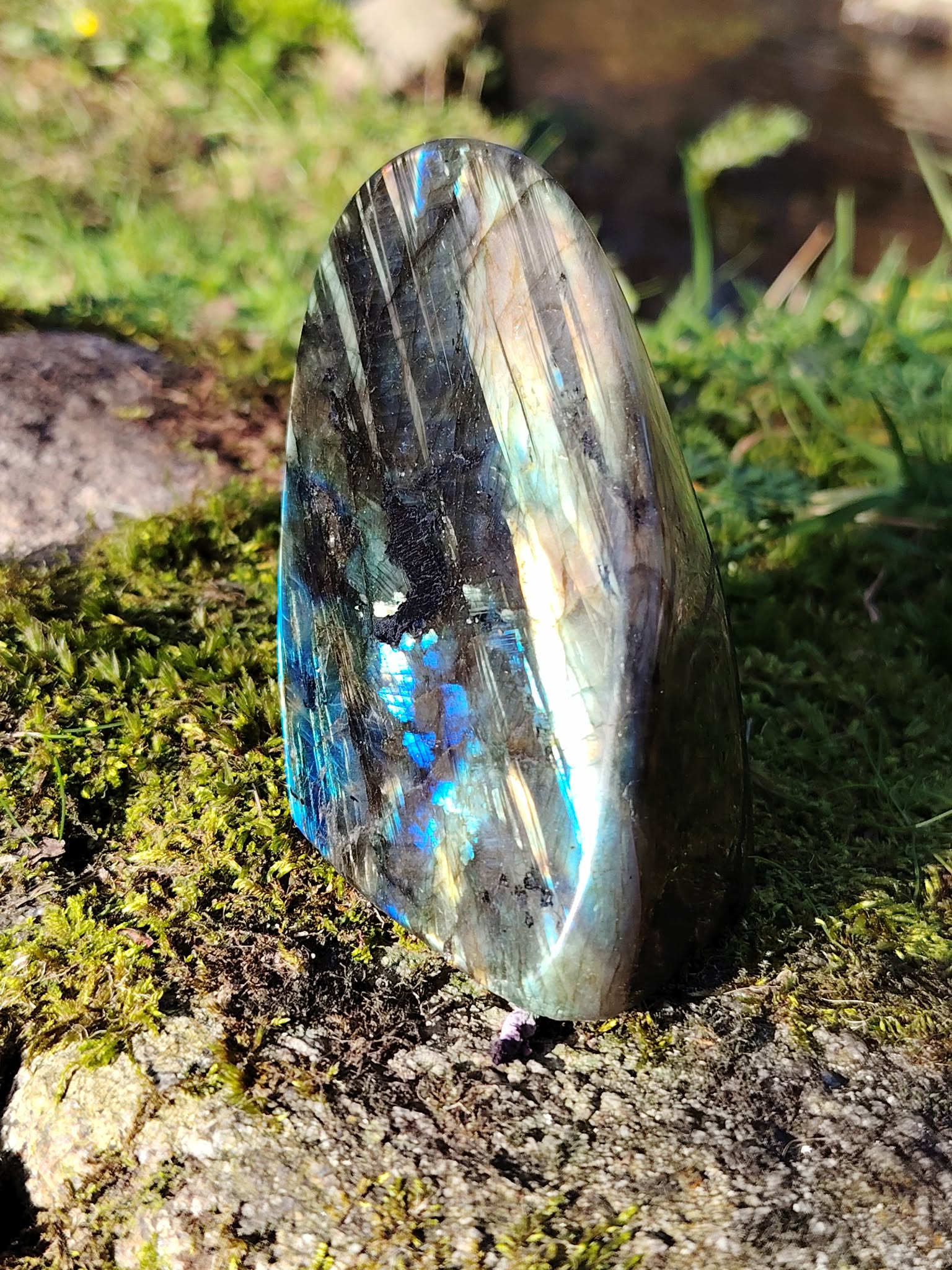 Labradorite forme libre aux reflets bleus posée sur mousse et rocher en Bretagne, près d’un ruisseau, pierre naturelle associée à la douceur émotionnelle, à la clarté et à l’intuition posée.