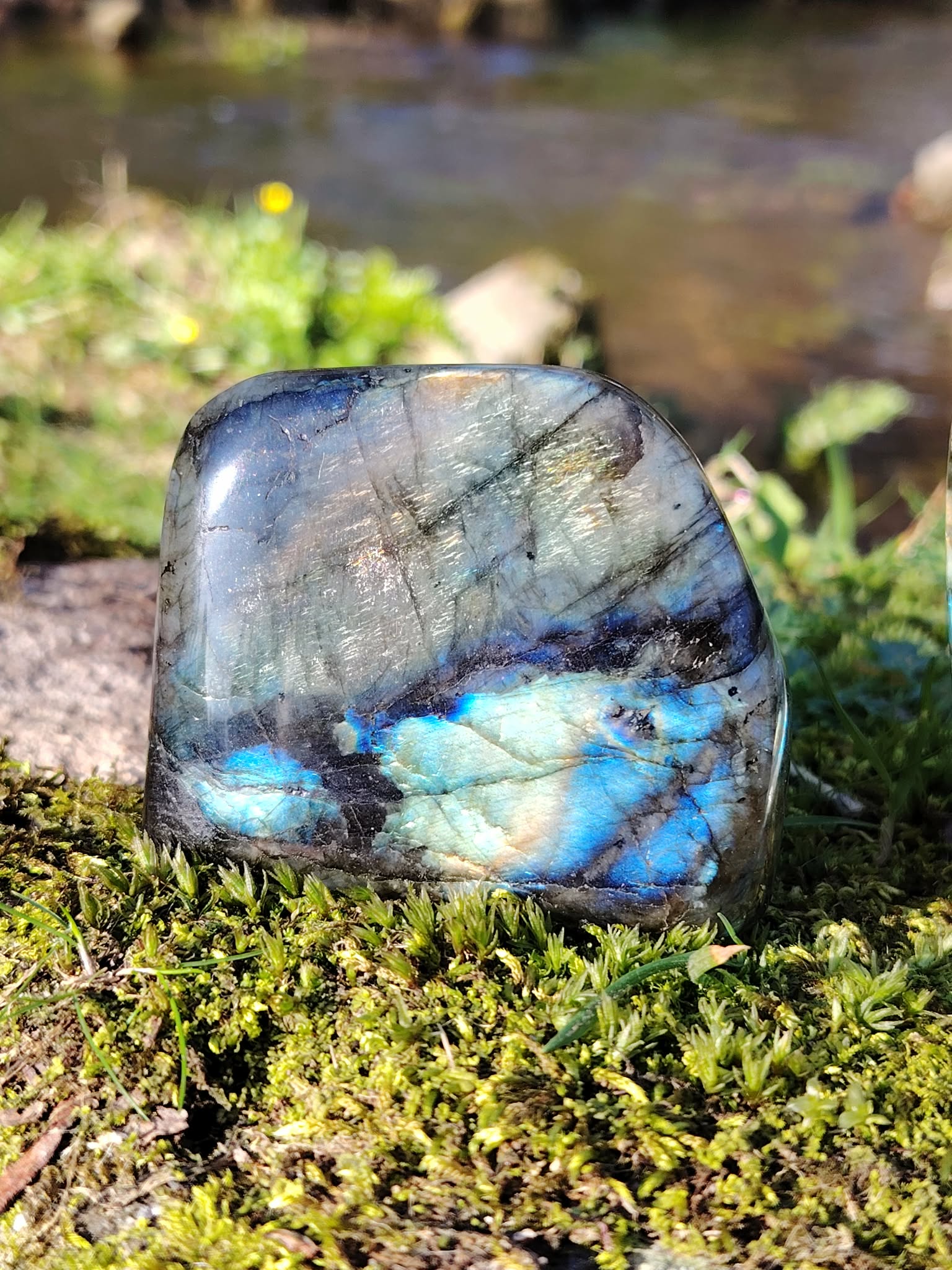 Labradorite forme libre irisée bleue posée sur mousse bretonne au bord d’un ruisseau, pierre naturelle reliée au calme, à la présence à soi et à la finesse de perception.