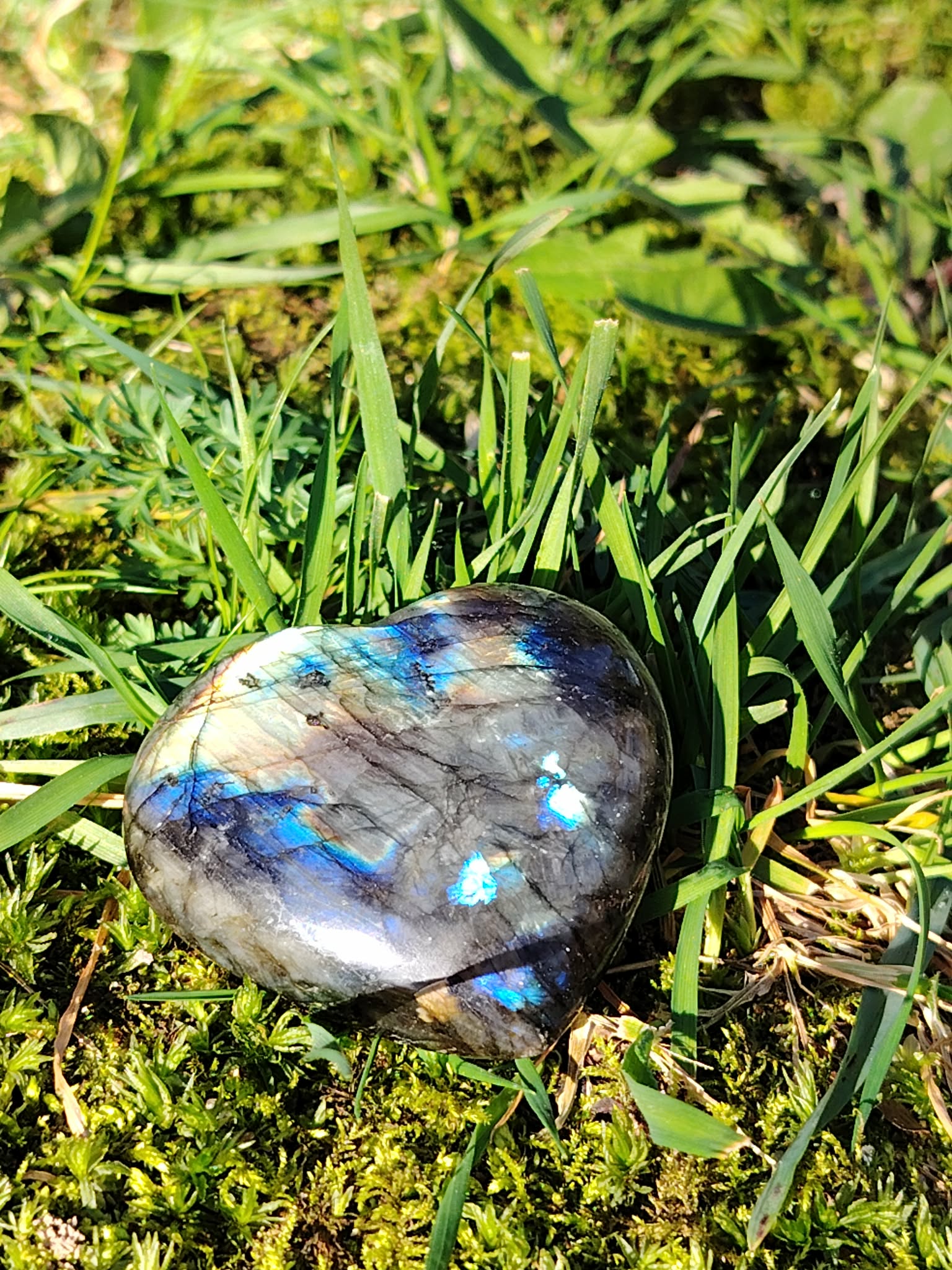 Coeur Labradorite aux reflets bleus posé dans l’herbe et la mousse en Bretagne, en pleine nature, pour protéger l’énergie, apaiser et soutenir l’intuition.