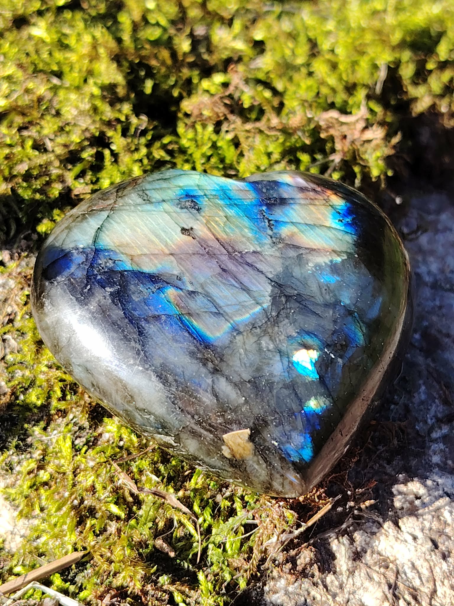 Cœur en labradorite aux reflets bleu électrique posé sur mousse et granit en Bretagne, en pleine nature, pour protéger l’énergie, apaiser le mental et stimuler l’intuition.