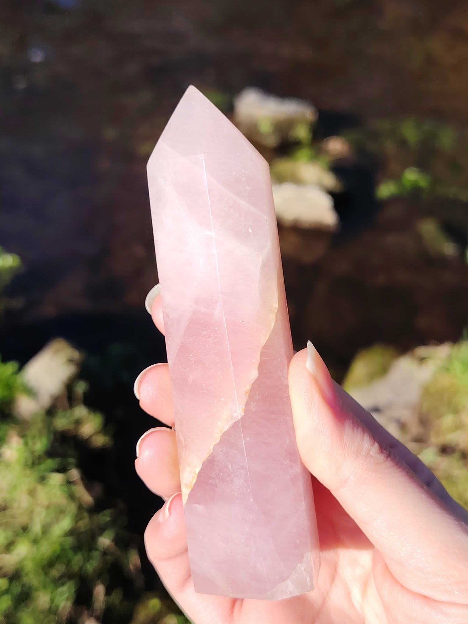 Main tenant une pointe de quartz rose facettée en extérieur, fond nature flou, pour inviter à la tendresse, apaiser les émotions et encourager l’amour de soi.