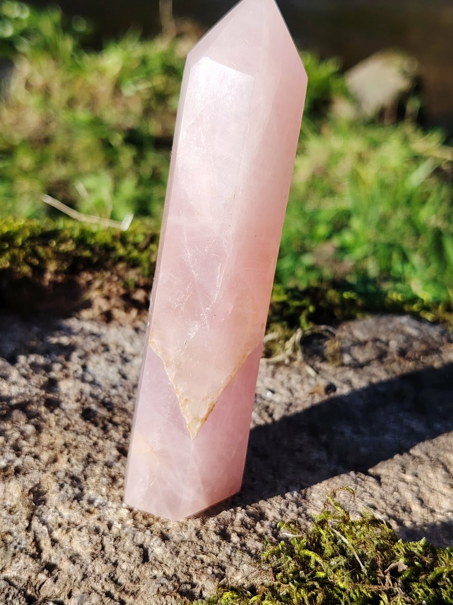 Pointe de quartz rose facettée dressée sur granit en Bretagne, herbes et mousse autour, lumière naturelle, pour apaiser, réconforter et ouvrir le cœur avec douceur.
