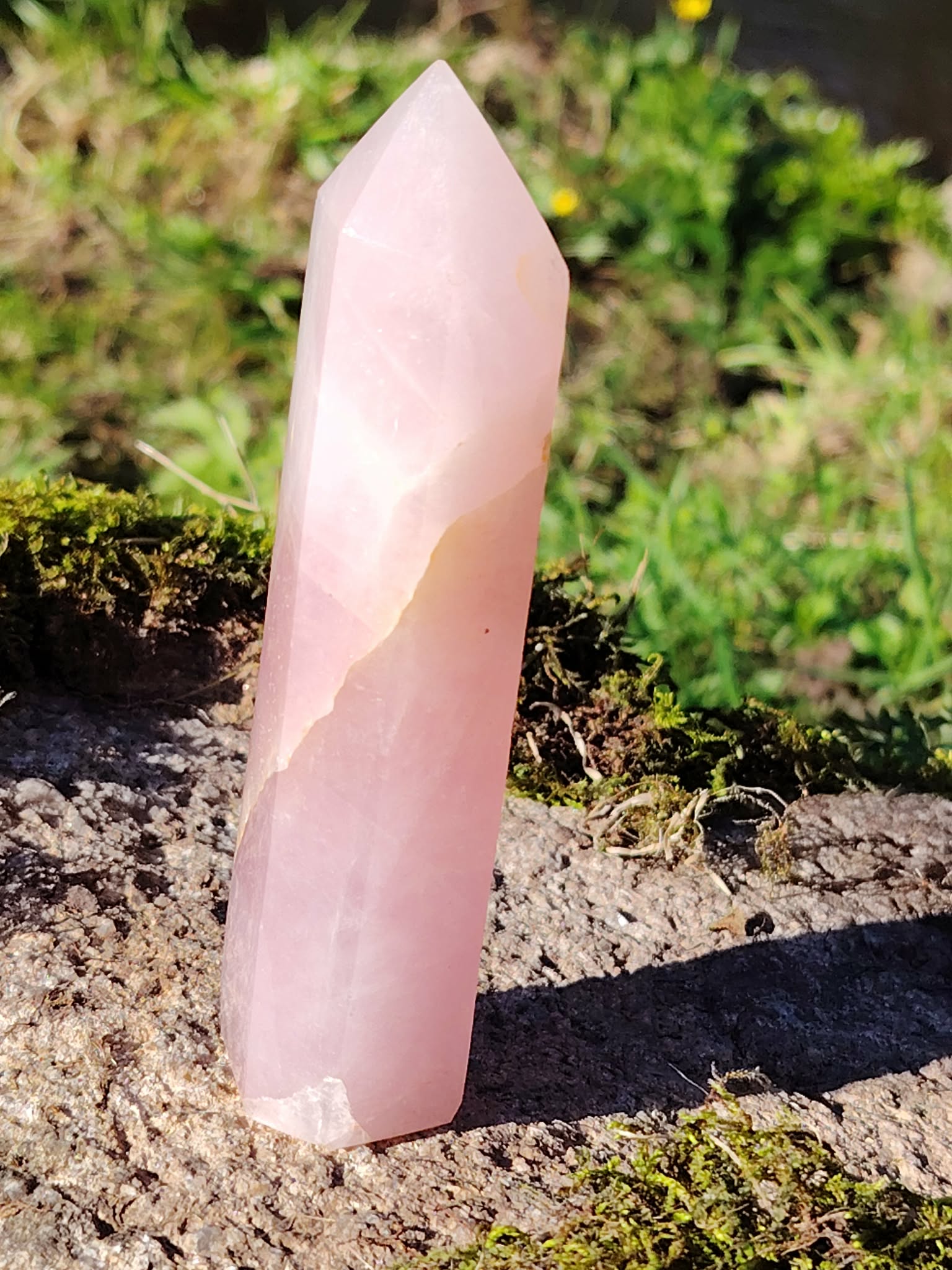 Pointe de quartz rose facettée posée sur rocher et mousse en pleine nature, pour inviter à la douceur, apaiser le cœur et encourager l’amour de soi