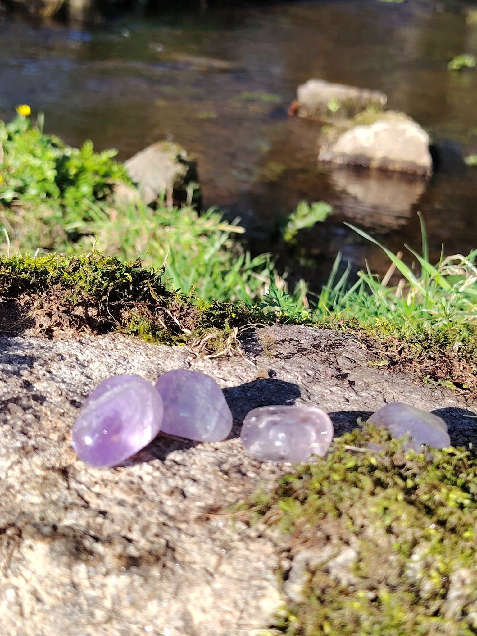 Pierres roulées d’améthyste posées sur un rocher moussu, entourées d’herbes et de lumière naturelle, dans une ambiance sereine évoquant intuition, apaisement et équilibre intérieur.