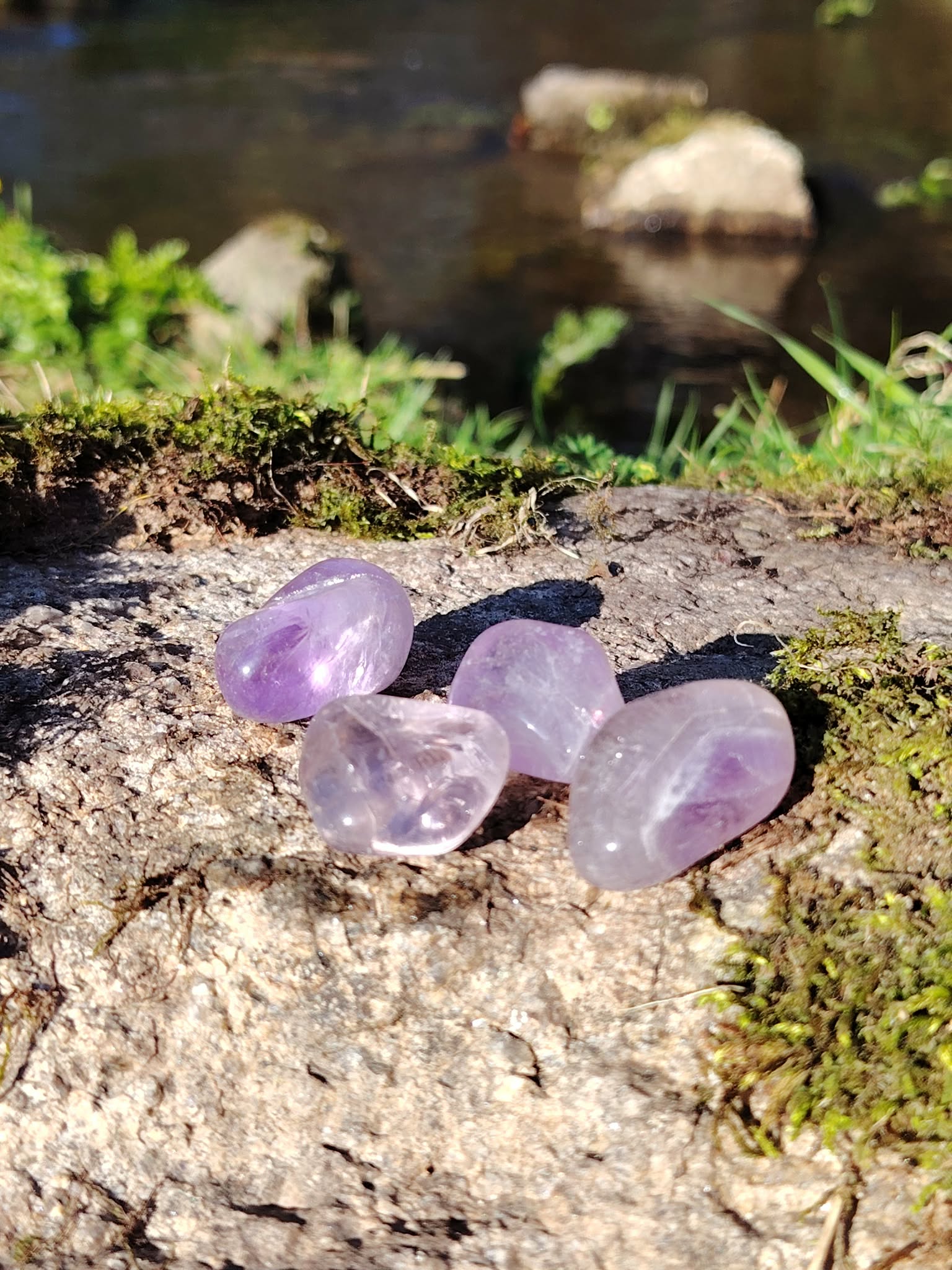 Pierres roulées d’améthyste posées sur un rocher moussu en lumière naturelle, avec herbes et fond boisé flou, dans une ambiance apaisante évoquant sérénité, intuition et recentrage