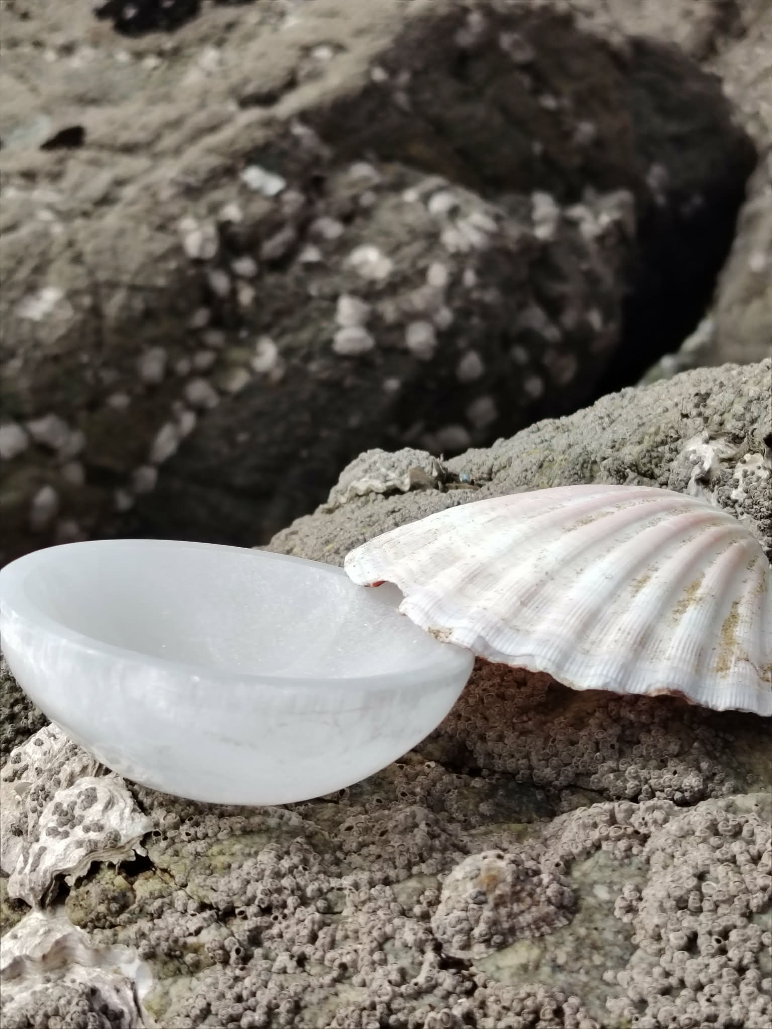 Bol chantant en sélénite 10 cm posé sur roche granitique en Bretagne, avec coquillage clair et galets, pour une pause douce favorisant apaisement, clarté et recentrage.
