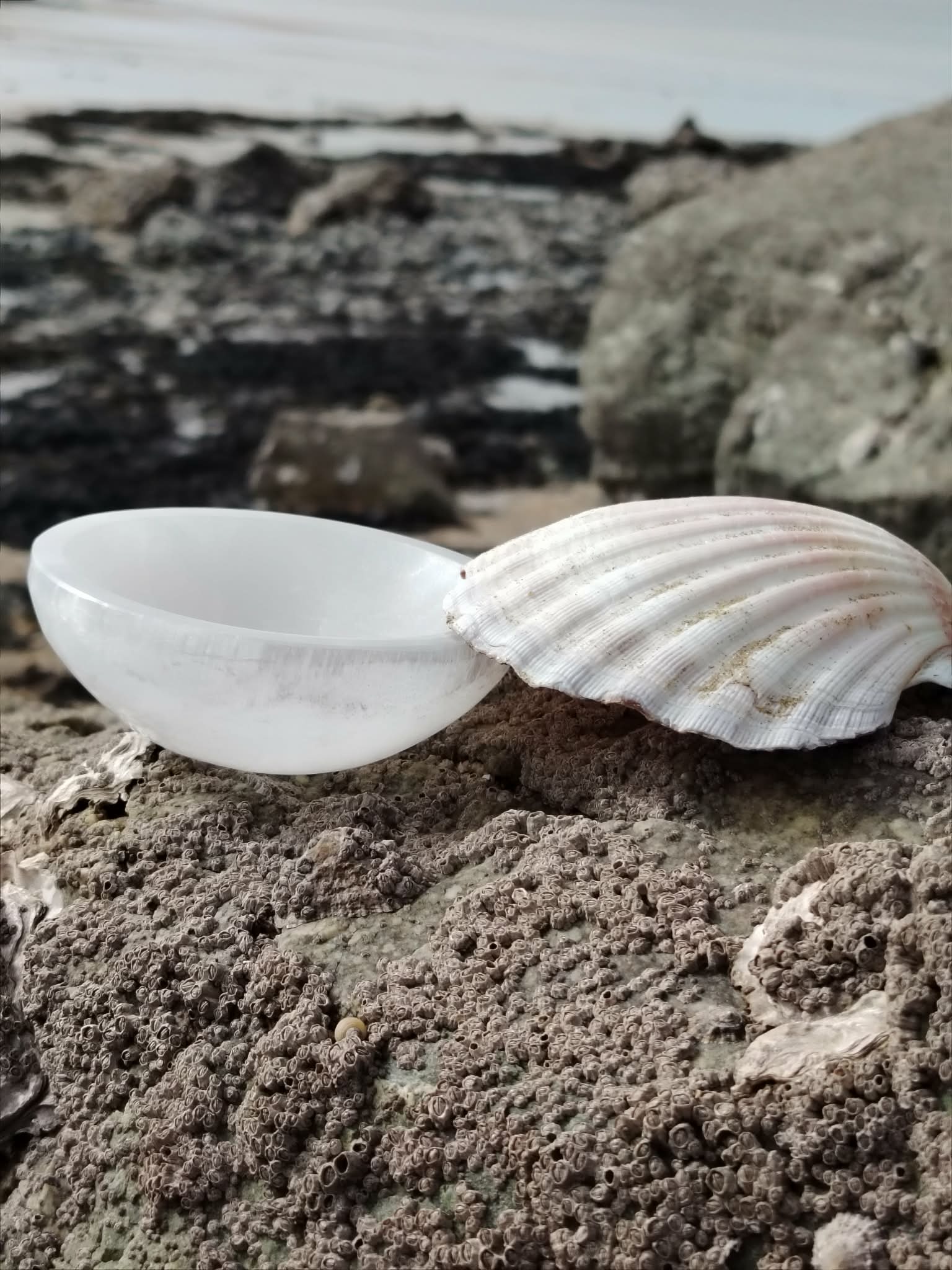 Bol chantant en sélénite 10 cm sur rocher breton, coquillage strié à côté, mer en arrière-plan et ciel gris, pour apaiser l’esprit, clarifier et recentrer en douceur.