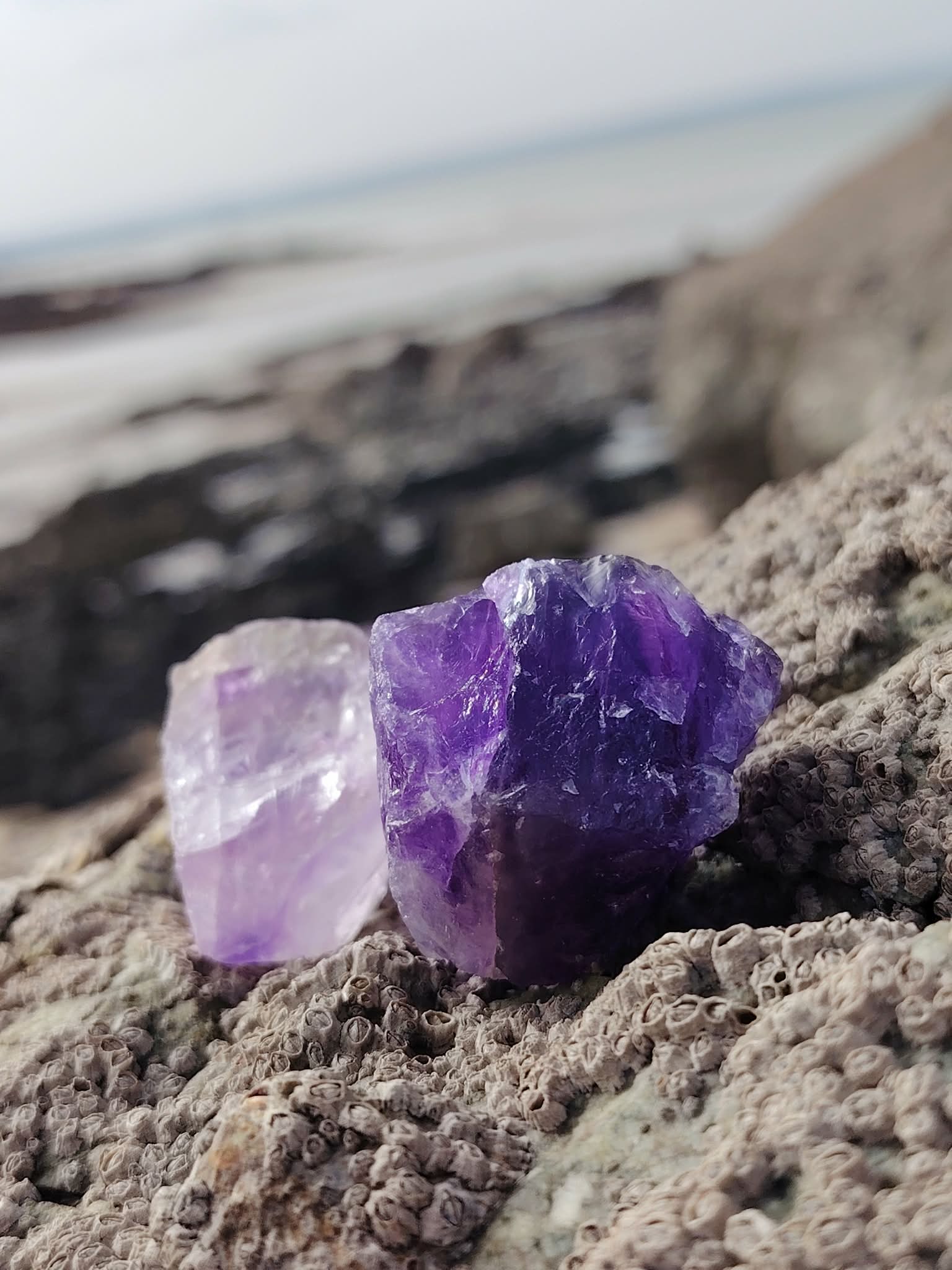 Deux améthystes brutes violettes sur rocher breton, mer floue en arrière-plan et lumière douce, pour apaiser les émotions, clarifier l’esprit et protéger.
