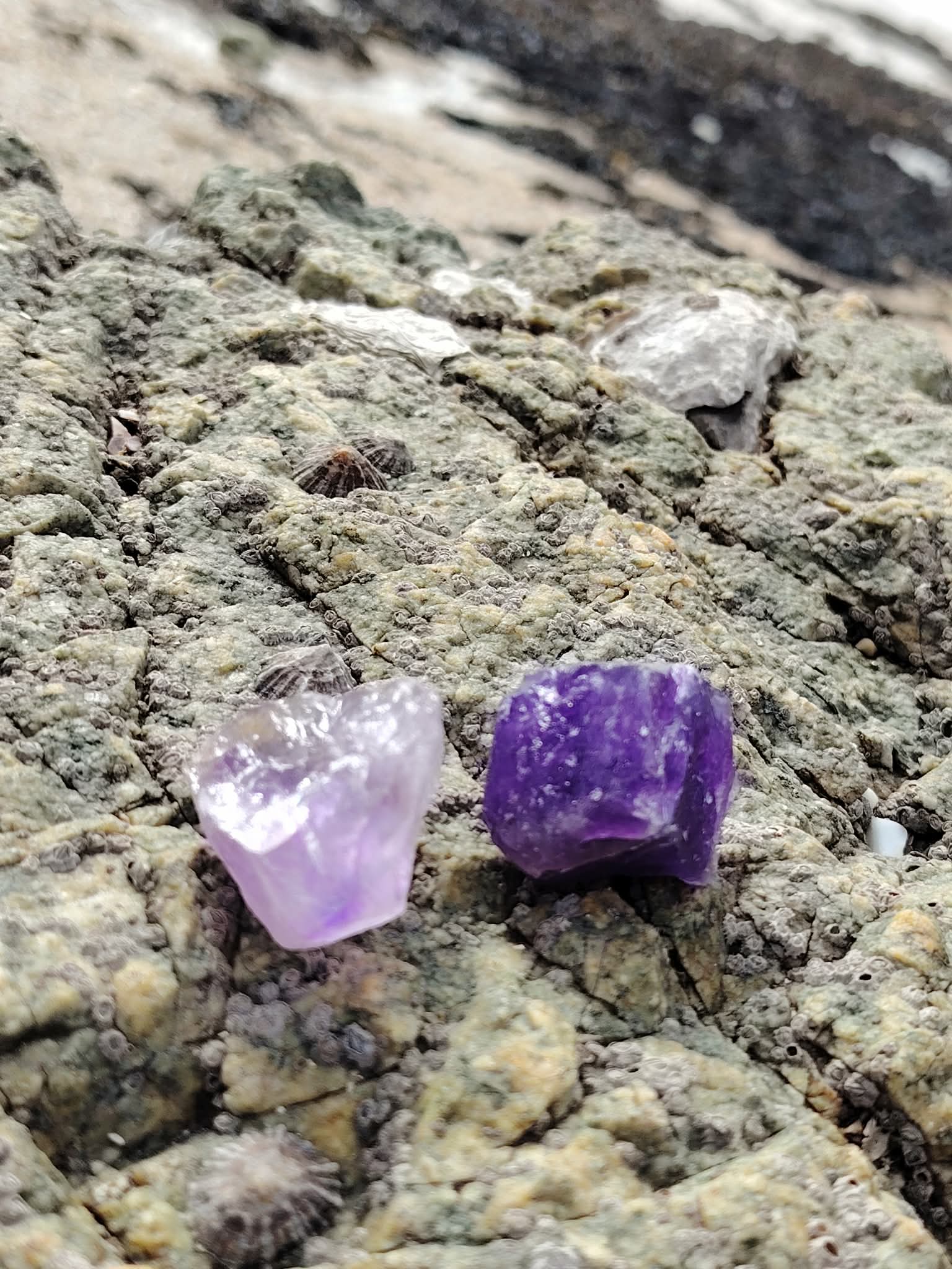 Deux améthystes brutes violettes posées sur un rocher strié en Bretagne, textures minérales et lumière naturelle, pour calmer le mental, apaiser et clarifier.