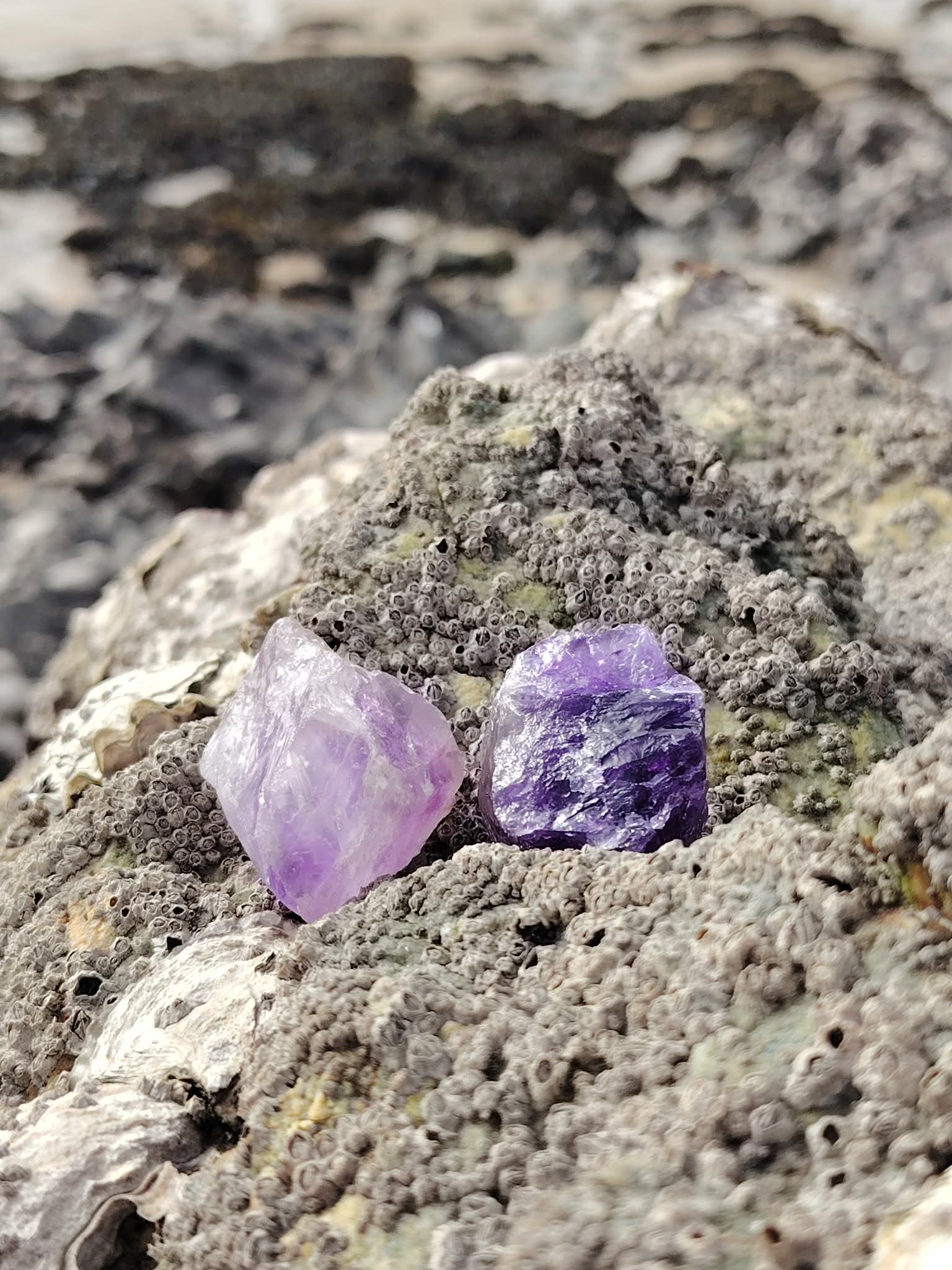 Deux améthystes brutes violettes posées sur un rocher granitique en Bretagne, mer et galets en arrière-plan, pour inviter au calme, à la protection et à la clarté.