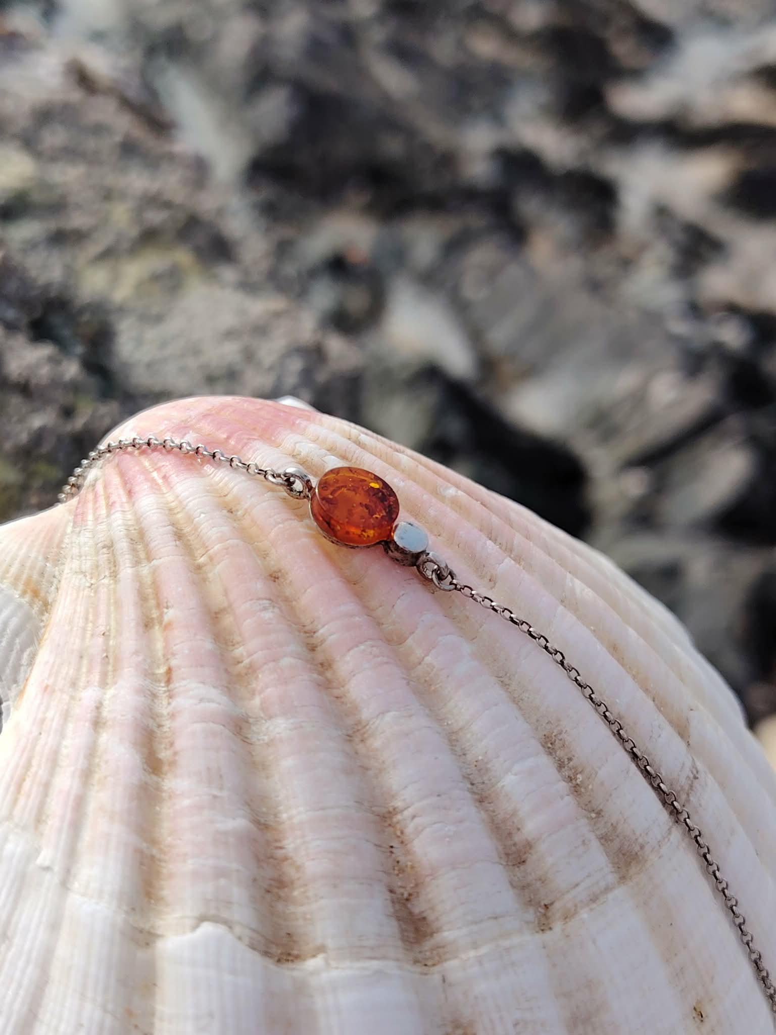 Bracelet ambre baltique cognac sur chaîne en argent rhodié posé sur coquillage clair, rochers et mer en Bretagne, réconfort, chaleur douce et apaisement intérieur.