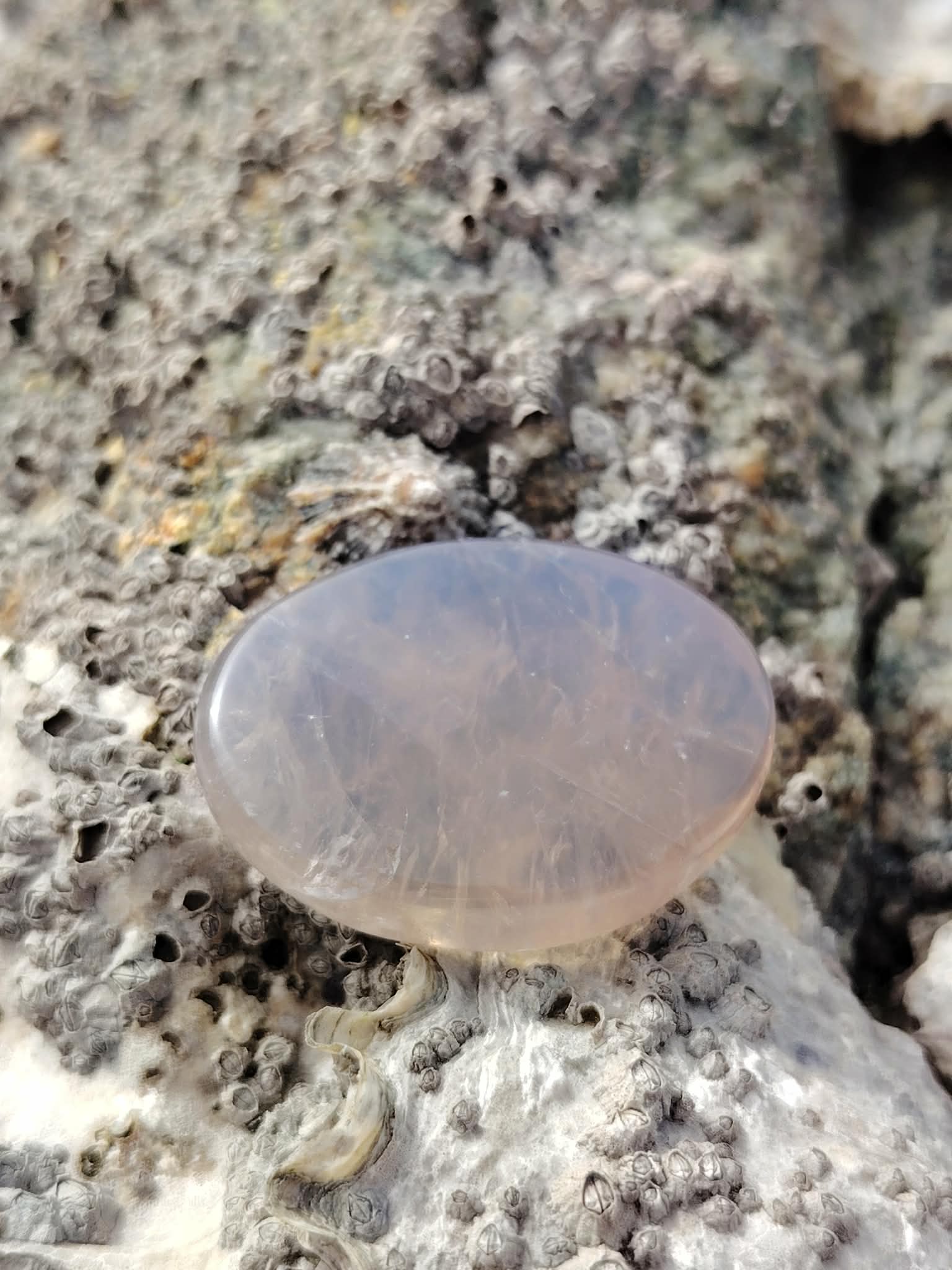 Galet en quartz rose bleu naturel posé sur une roche en Bretagne, pierre naturelle associée à la douceur relationnelle, à l’équilibre intérieur et au calme émotionnel.