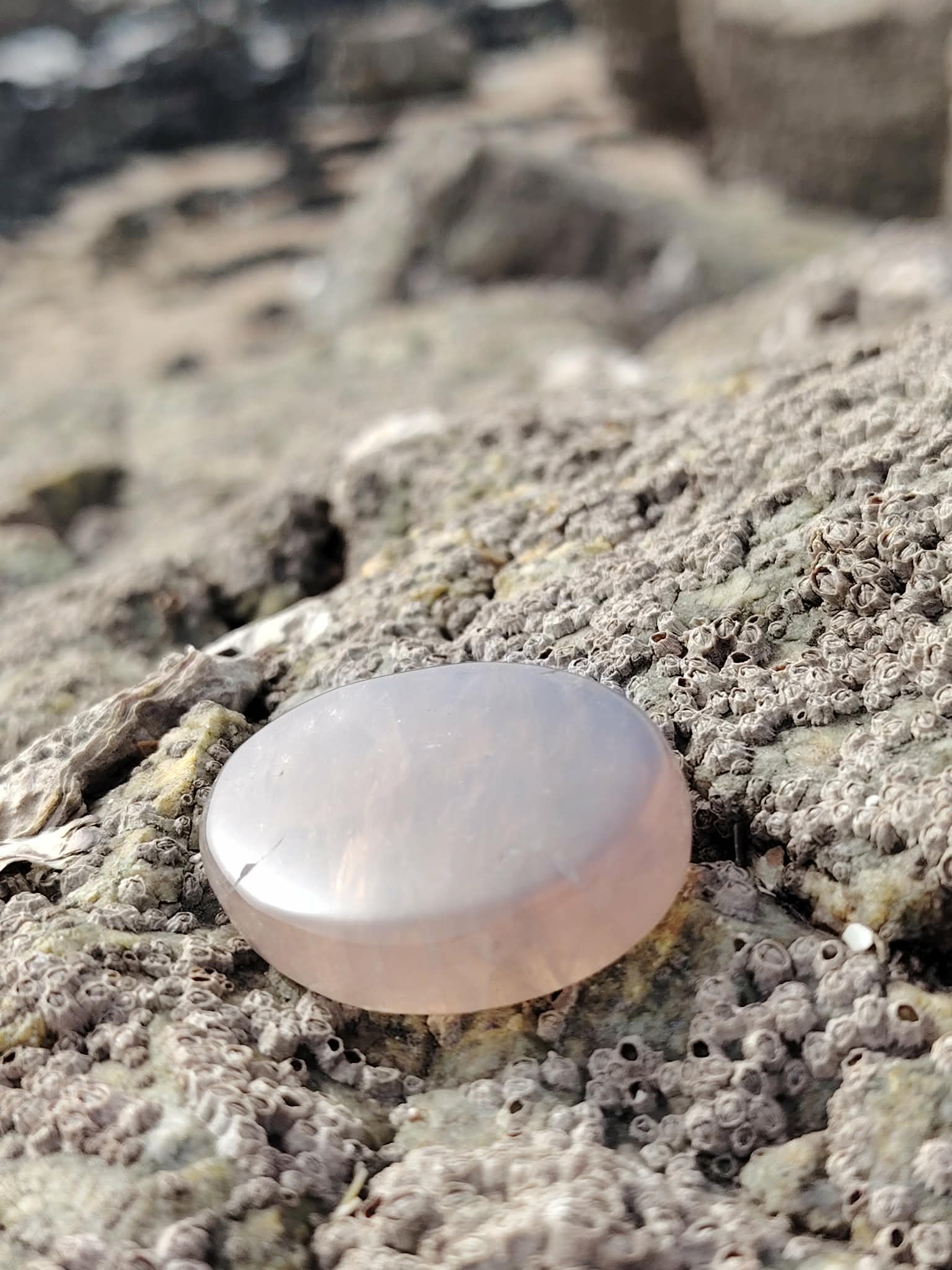 Galet en quartz rose bleu naturel posé sur une roche en Bretagne, pierre naturelle évoquant la tendresse intérieure, la paix émotionnelle et la sérénité.