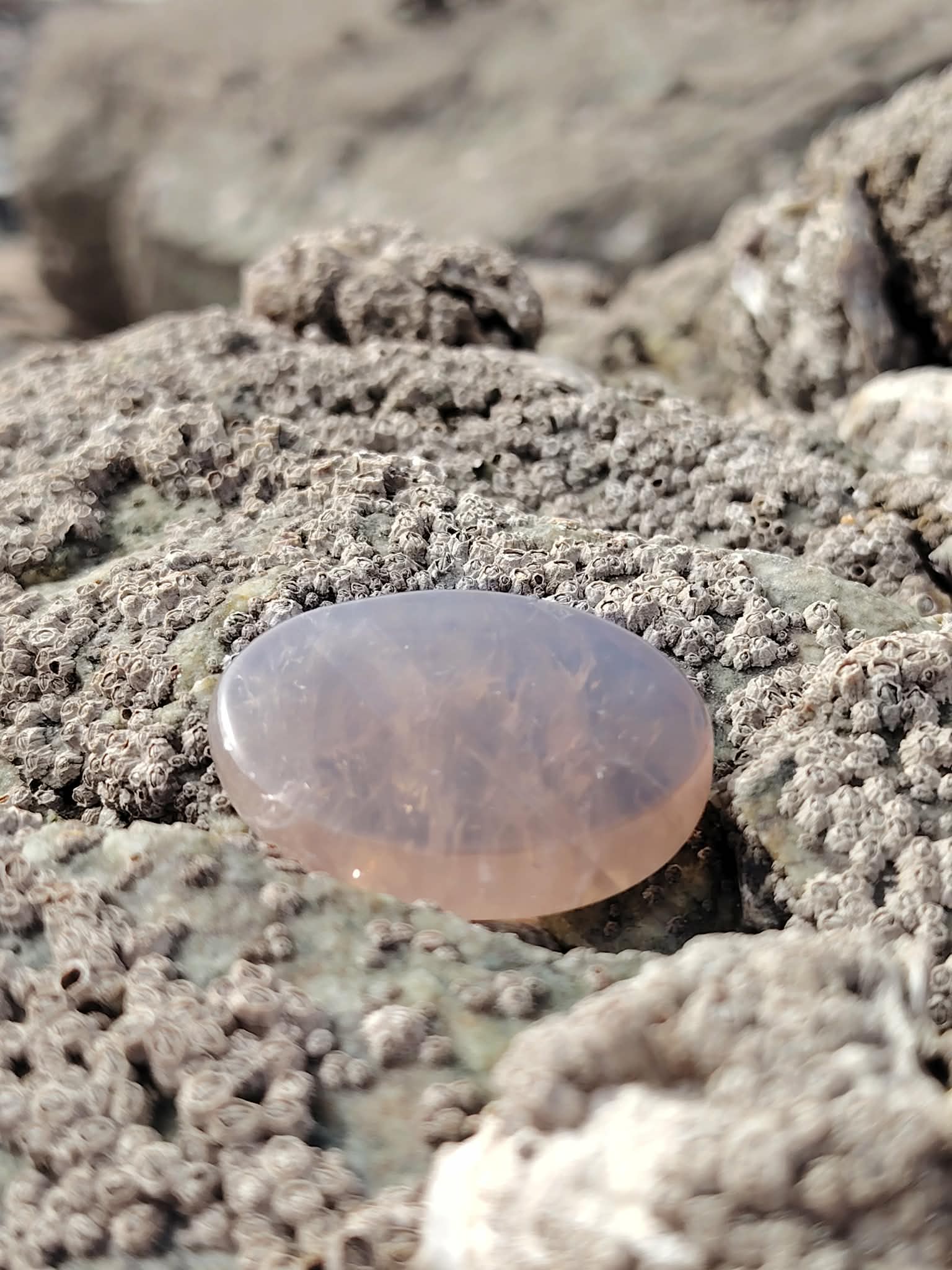 Galet en quartz rose bleu naturel posé sur une roche en Bretagne, pierre naturelle associée à la douceur, à la paix intérieure et à l’équilibre affectif.
